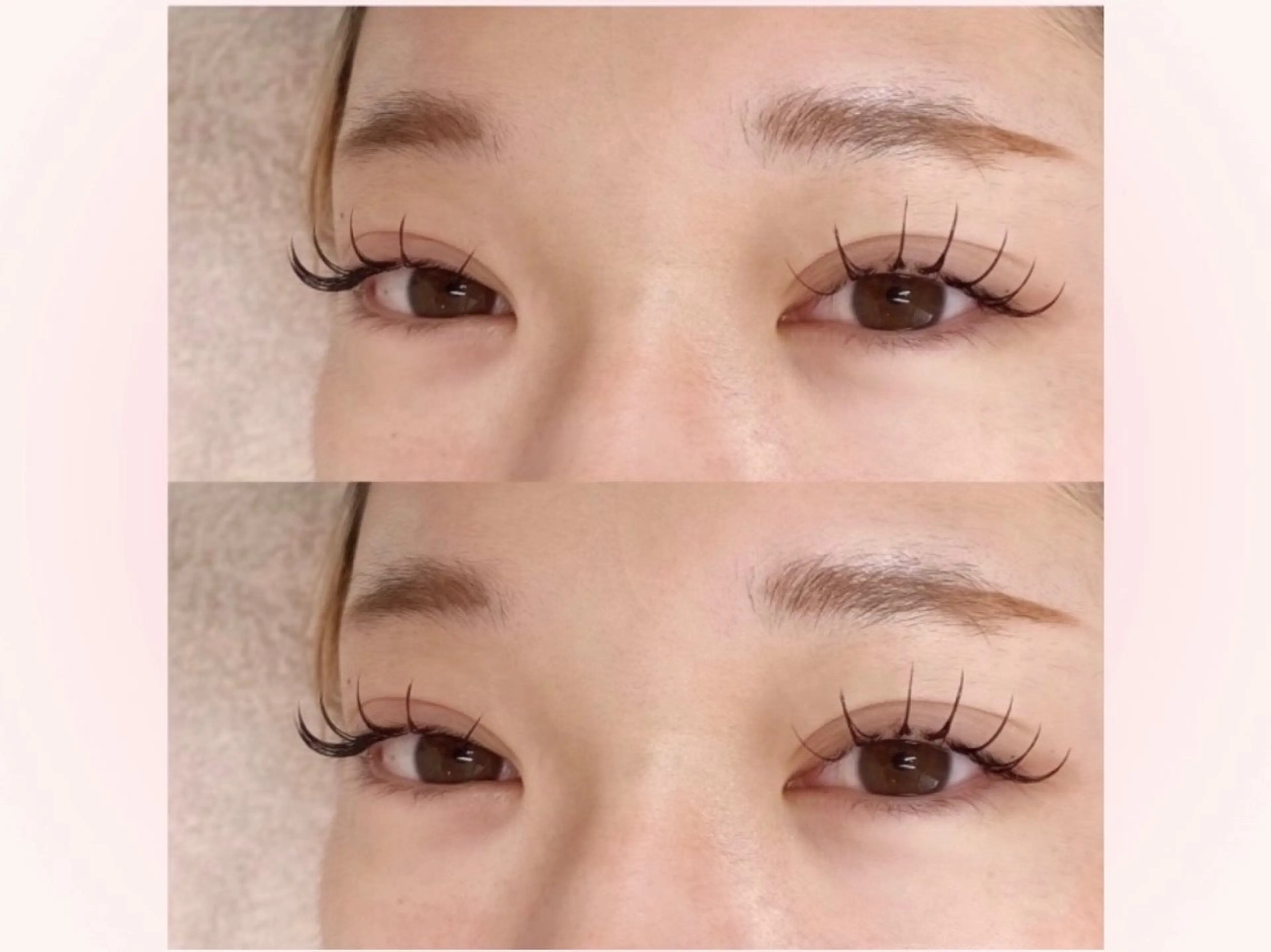 マツエク・マツパ 束感まつ毛 キュート フラットラッシュ マツエク 🐶Maaz lash5🐶のマツエク・マツパデザイン