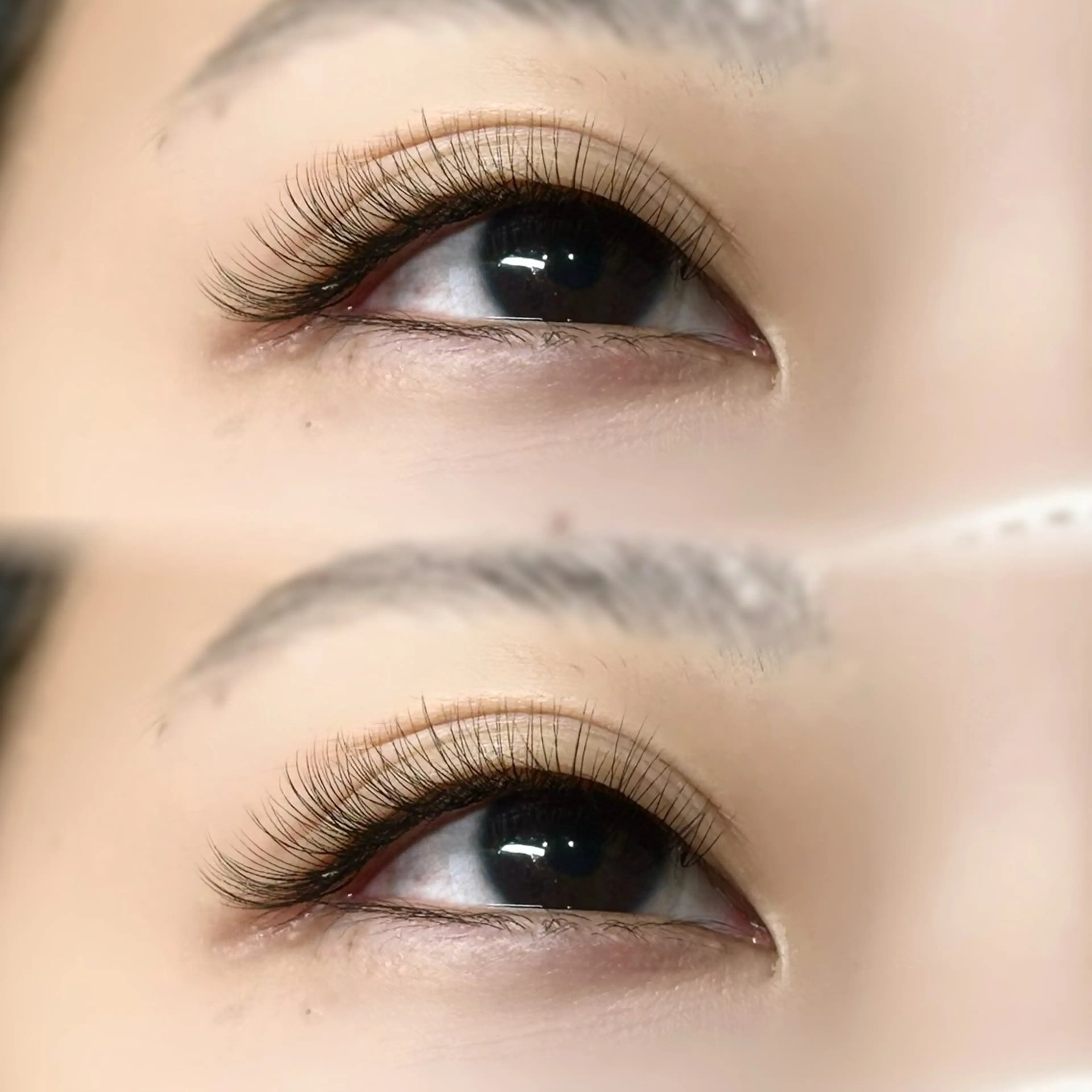 【12/10まで】ボリュームラッシュ⭐️無料モデルの写真