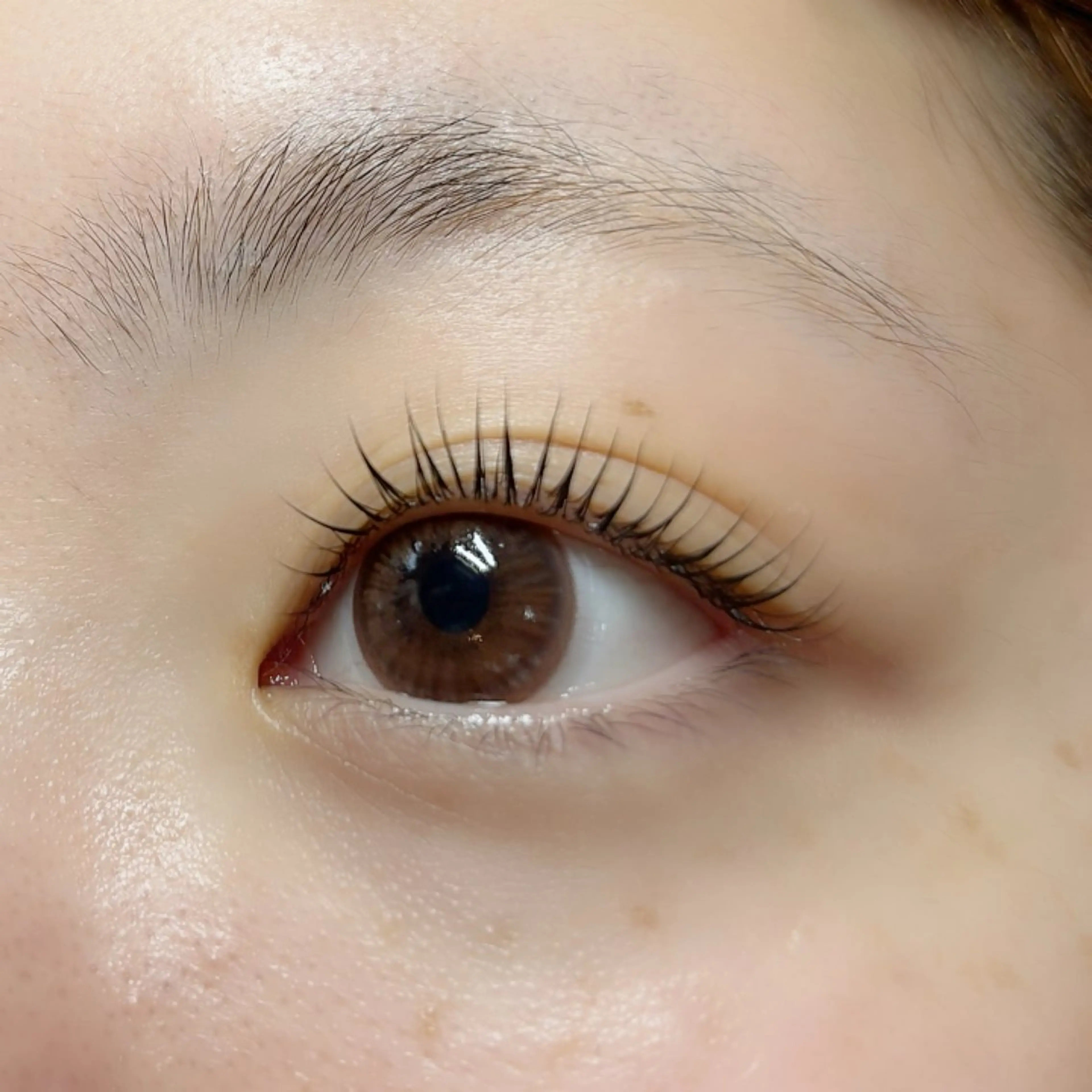 マツエク・マツパ マツパ MIU eyelist_aのマツエク・マツパデザイン