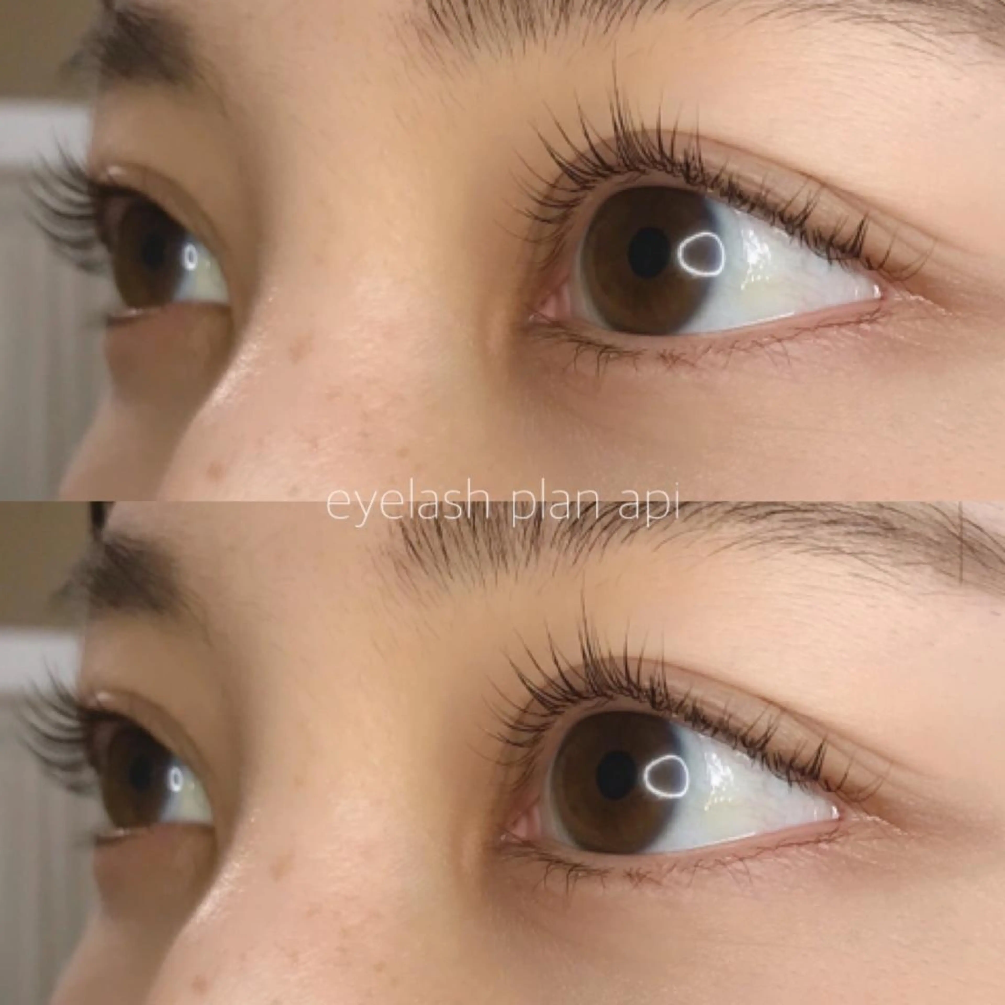 マツエク・マツパ マツパ 《eyelash ｉｉｔｅ》森のマツエク・マツパデザイン