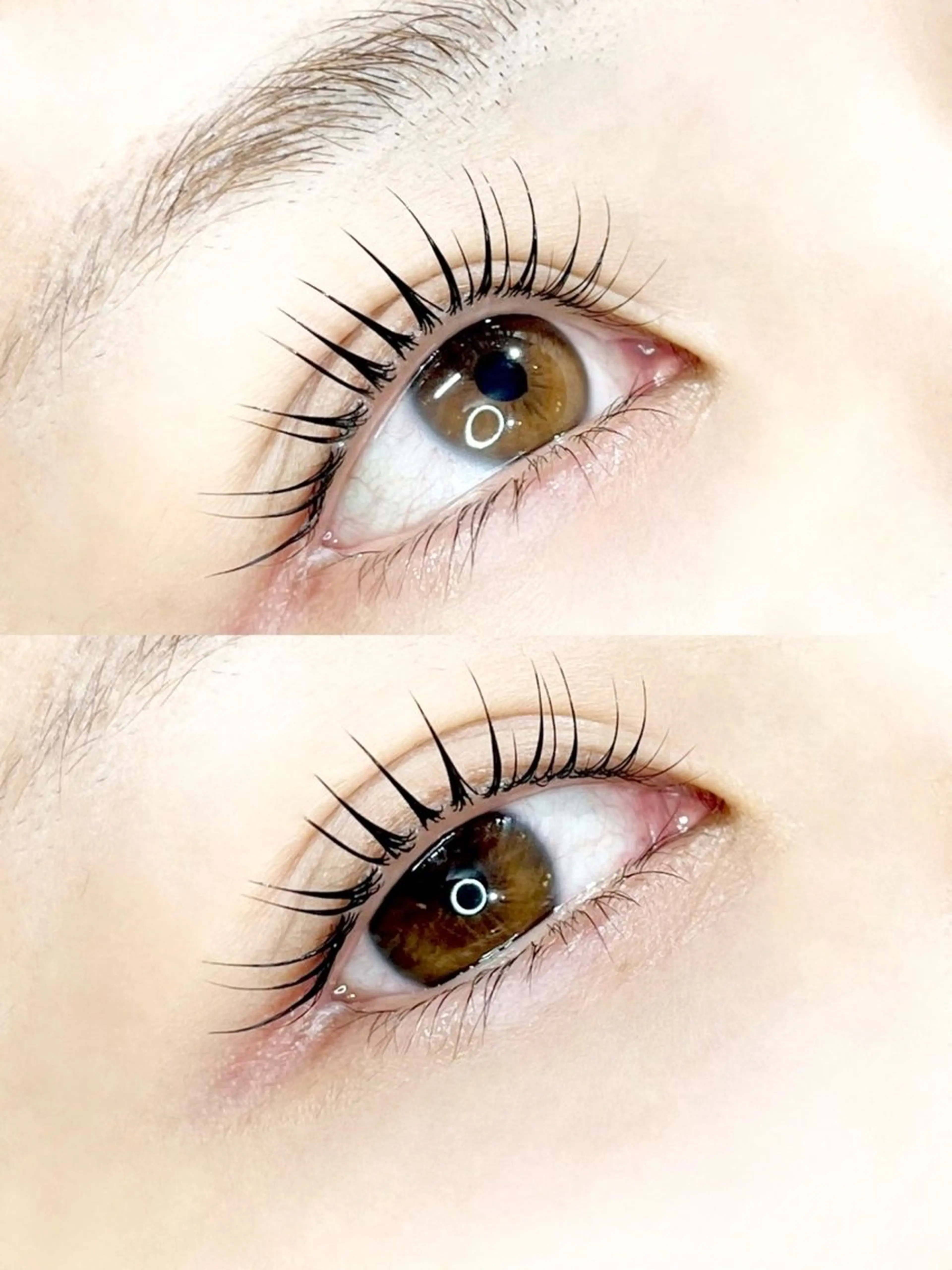 🩷まつ毛パーマorパリジェンヌラッシュリフトの写真