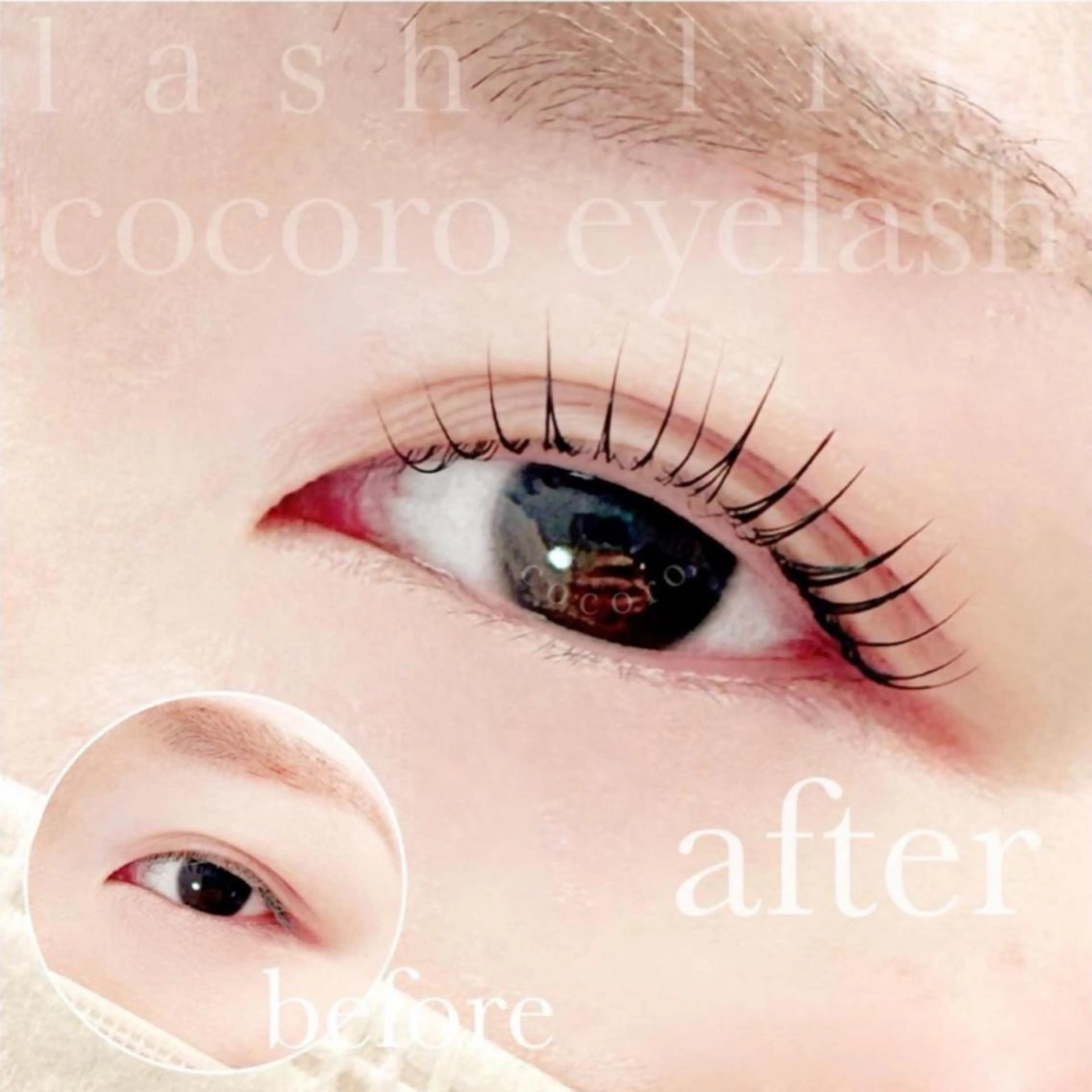 マツエク・マツパ まつ毛・眉/ 練習＆モニター専用の眉毛・アイブロウイメージ