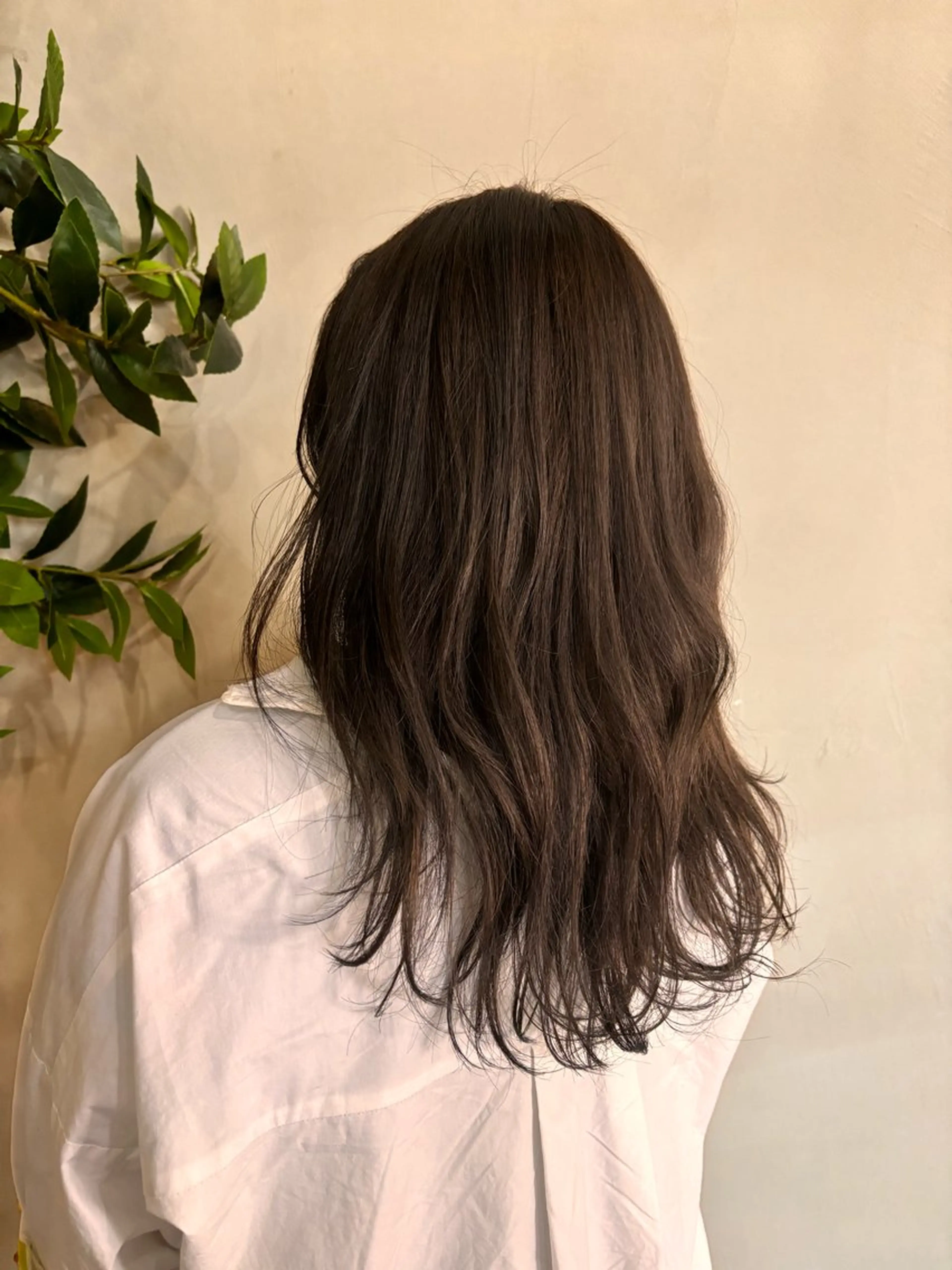 カラー オリーブカラー ヘアカラー ami／glory＋ カラーモデル募集🫧のヘアスタイル