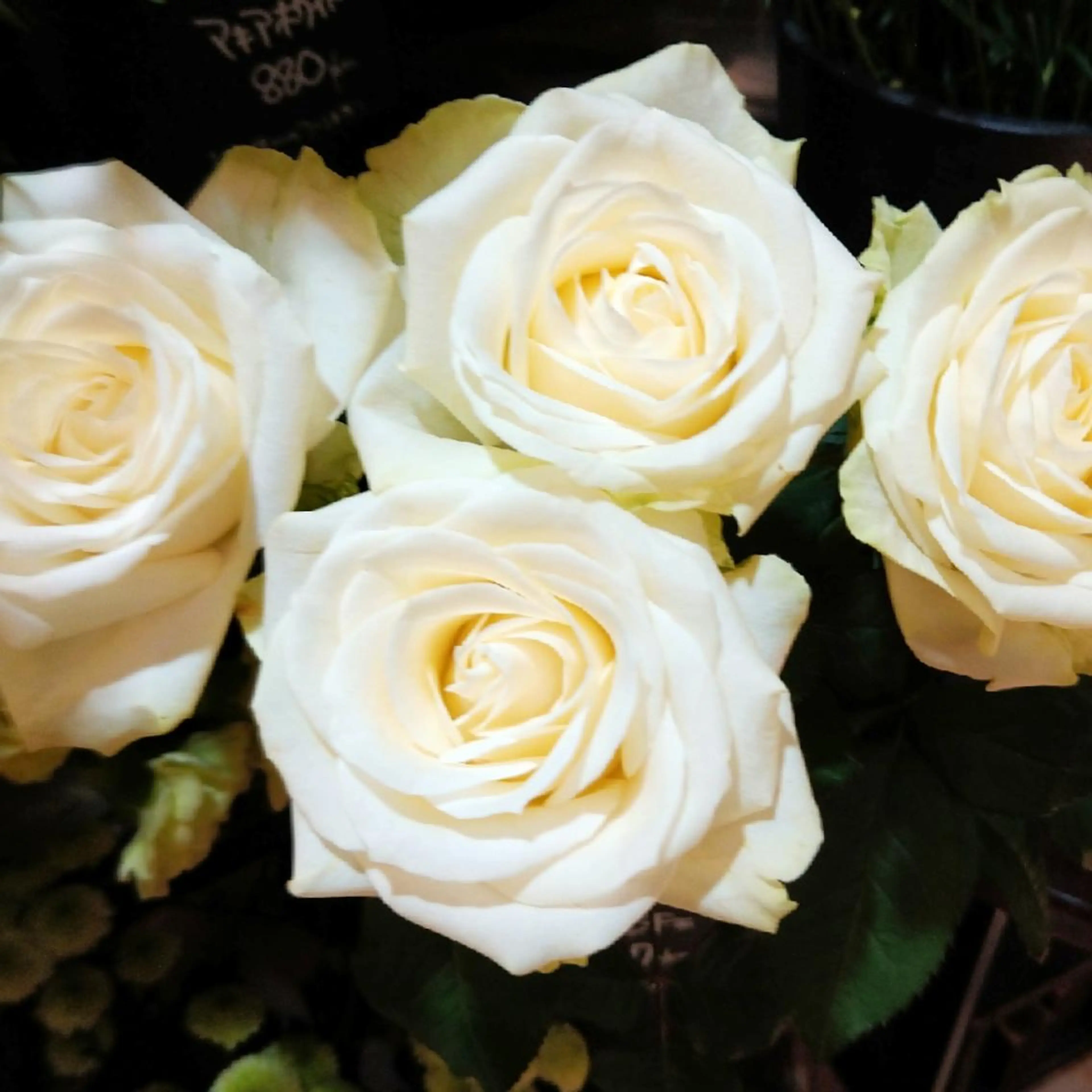 着付け 山本 ひろ美のその他イメージ