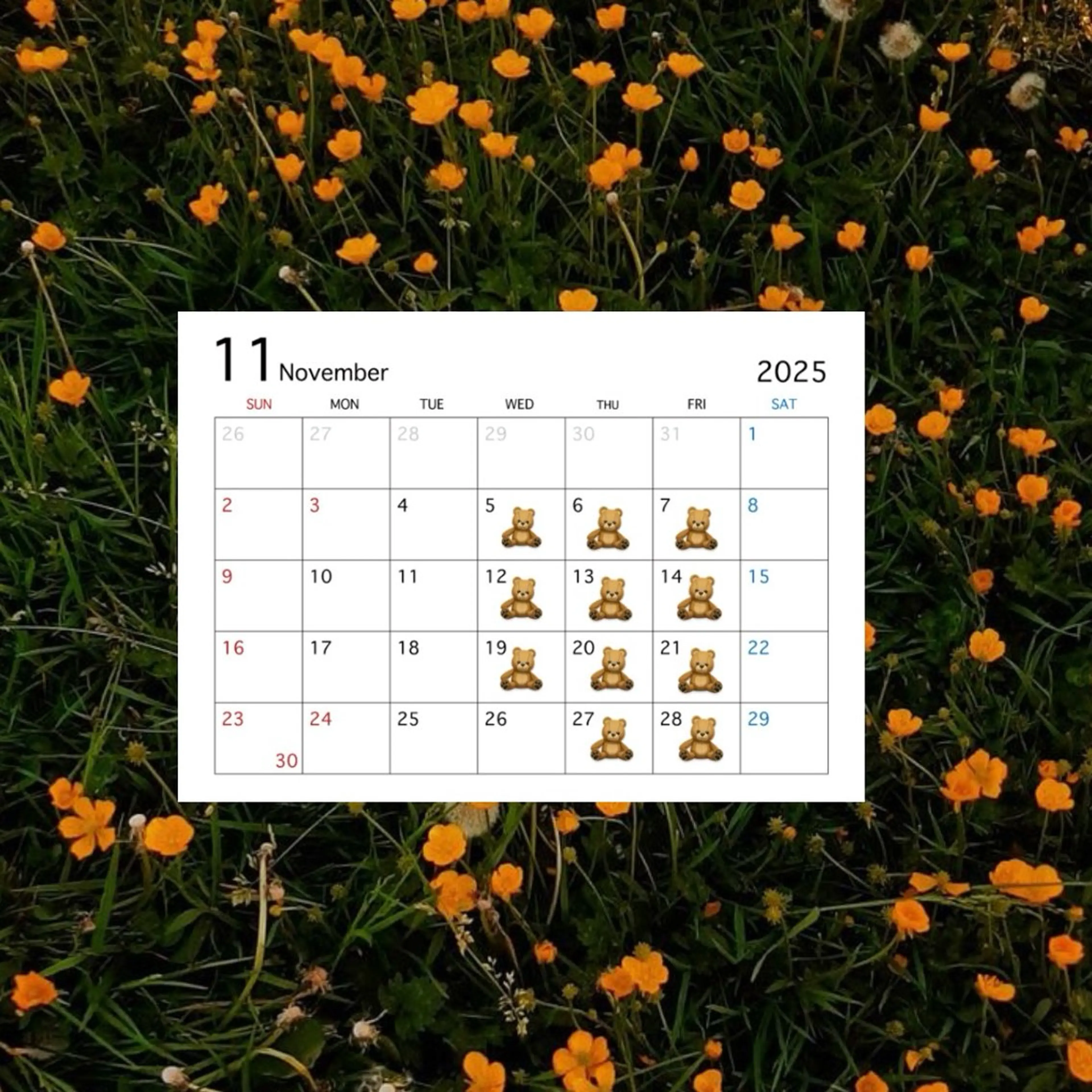 luce.hair.design所属・加藤 菜々子のヘアスタイル