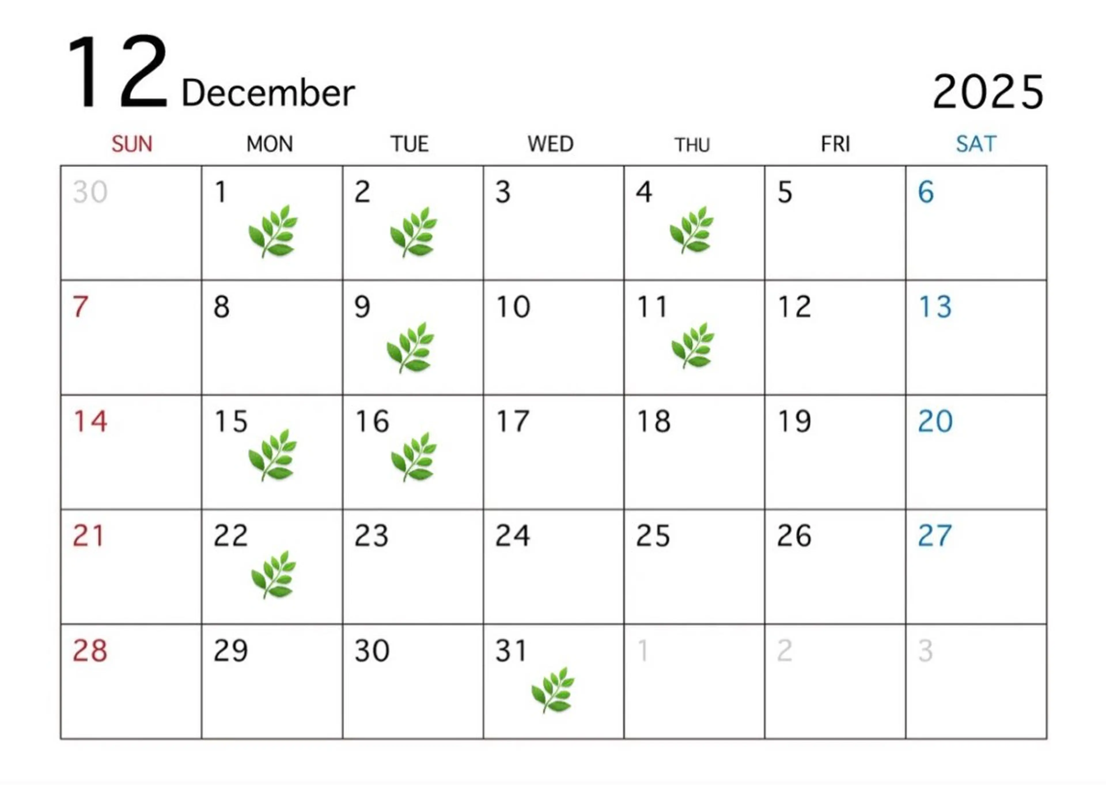 ミディアム カット ハイトーン/寒色系 カラー/Risa🌿のヘアスタイル