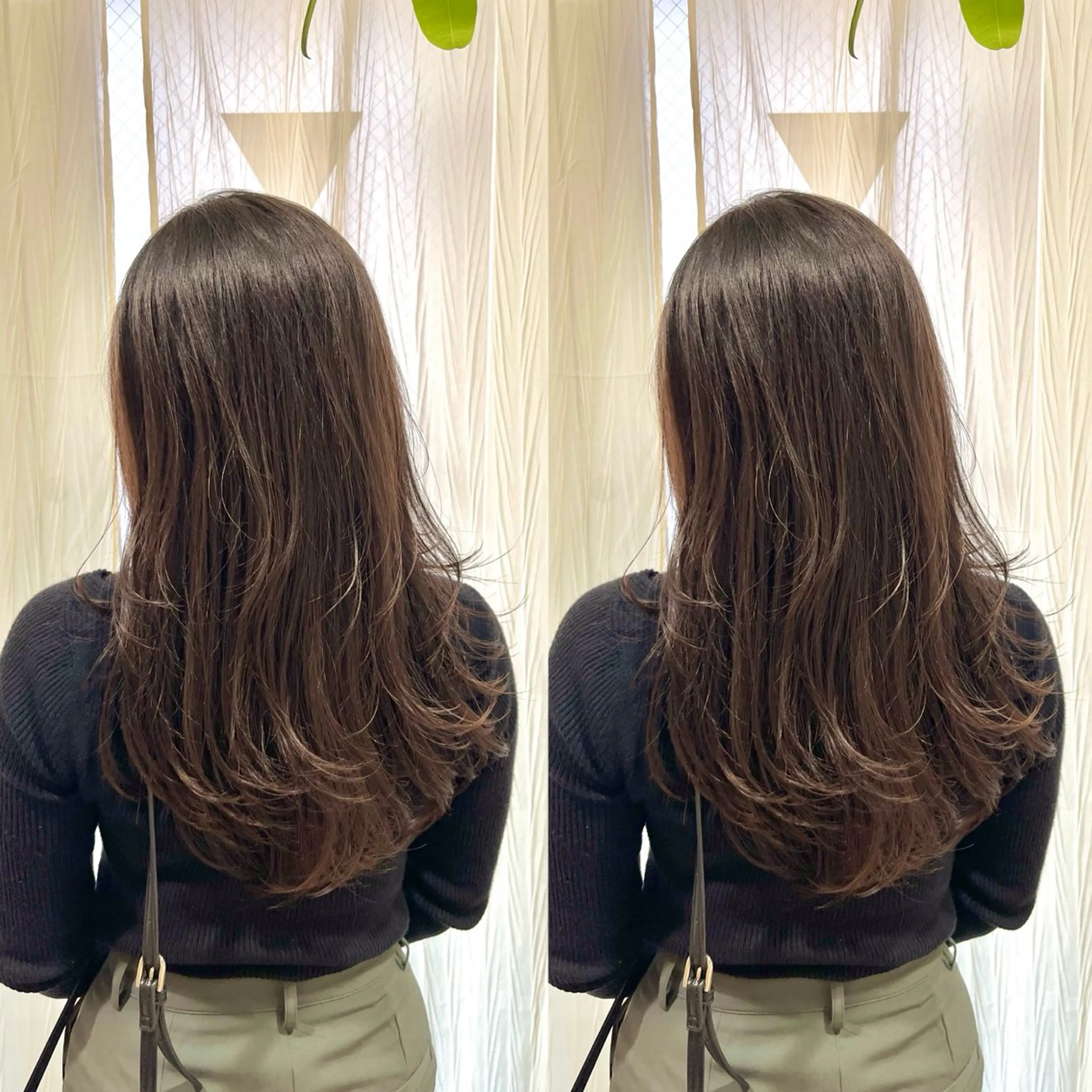 【9､10月限定 1日2名様まで！】🎀レディースカット🎀の写真