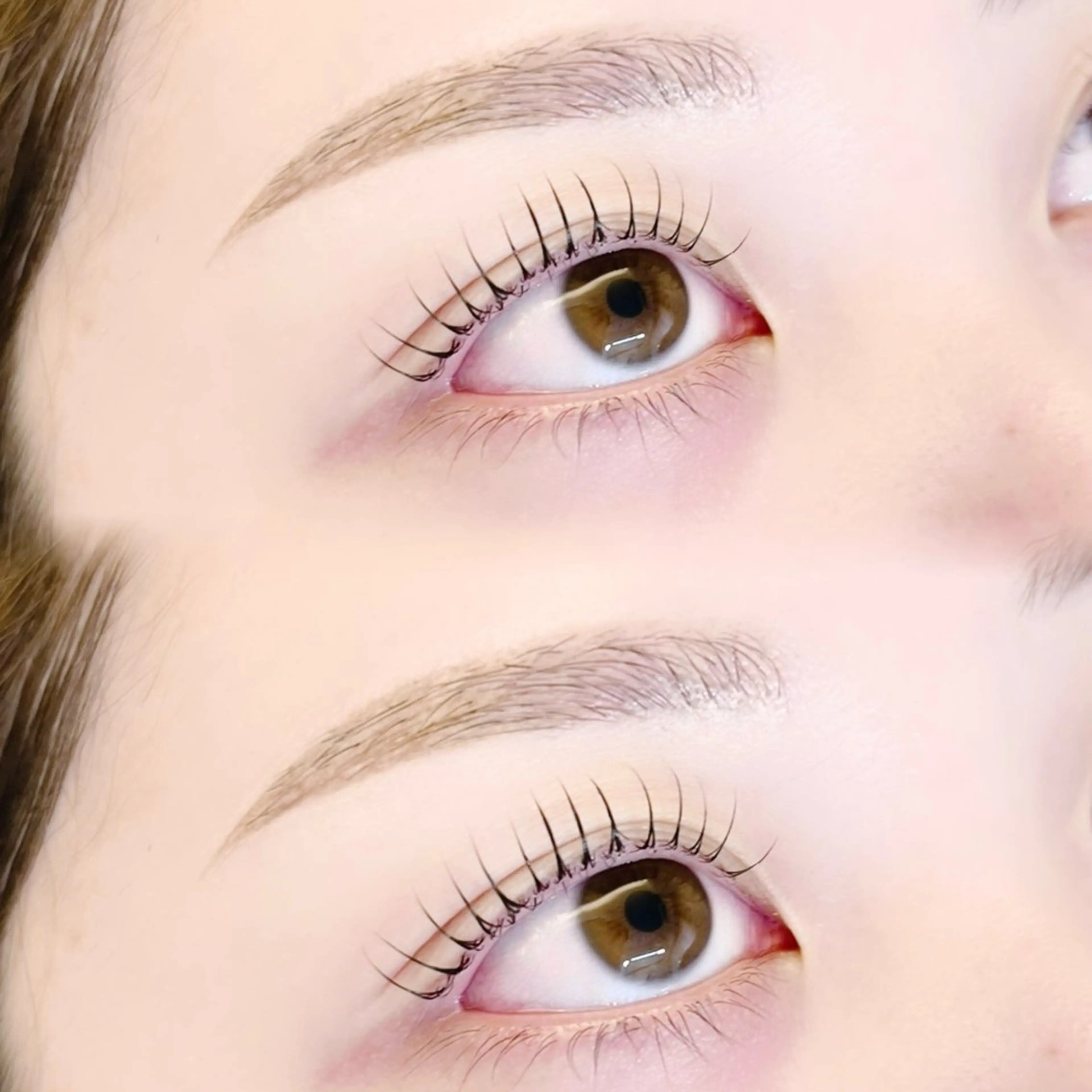 【ご新規様】眉ワックス(アイブロウ)+まつ毛パーマ(上)の写真