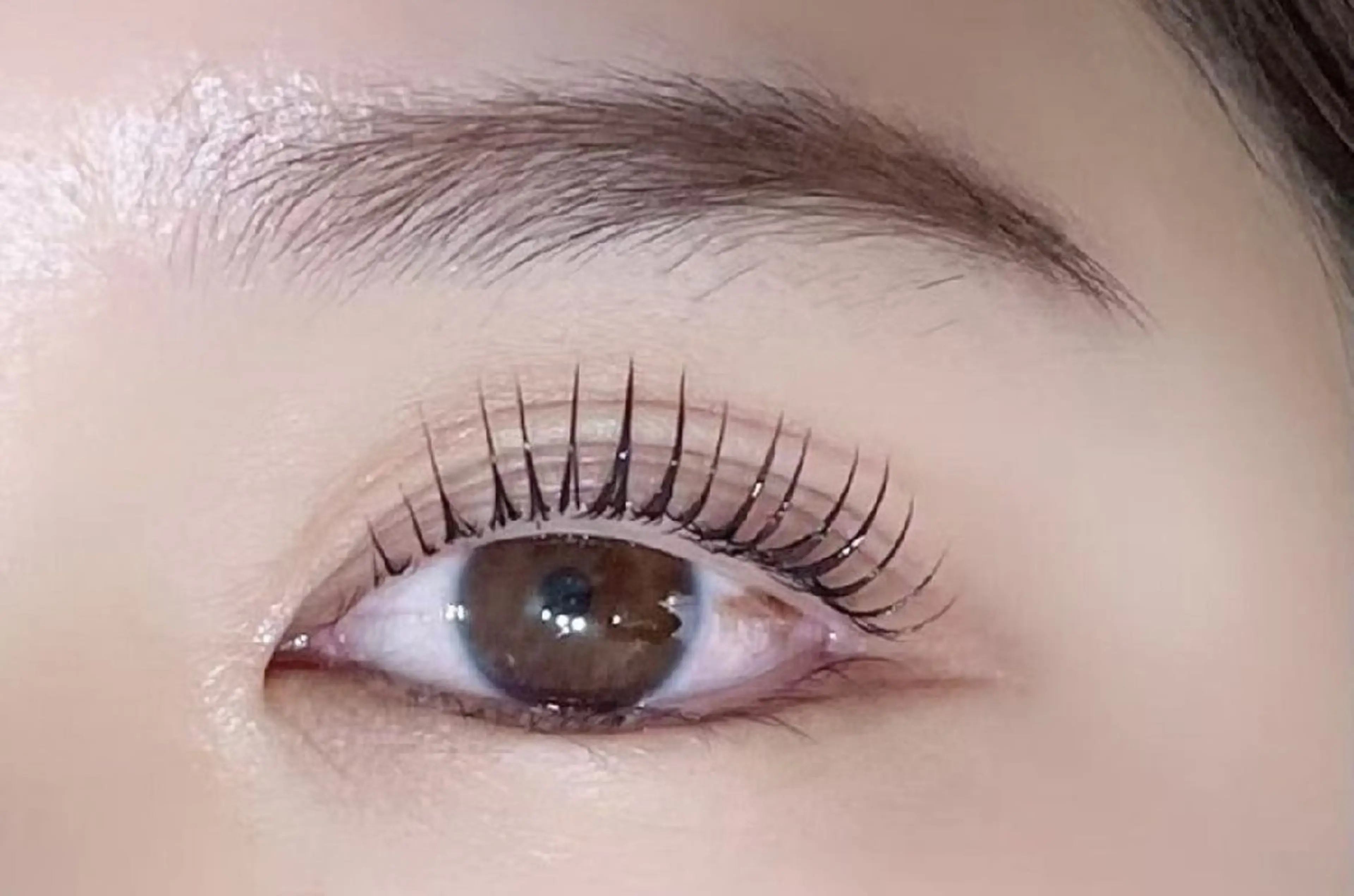 マツエク・マツパ アレグレス所属・アレグレス@池袋 🌹大人気店🌹のマツエク・マツパデザイン