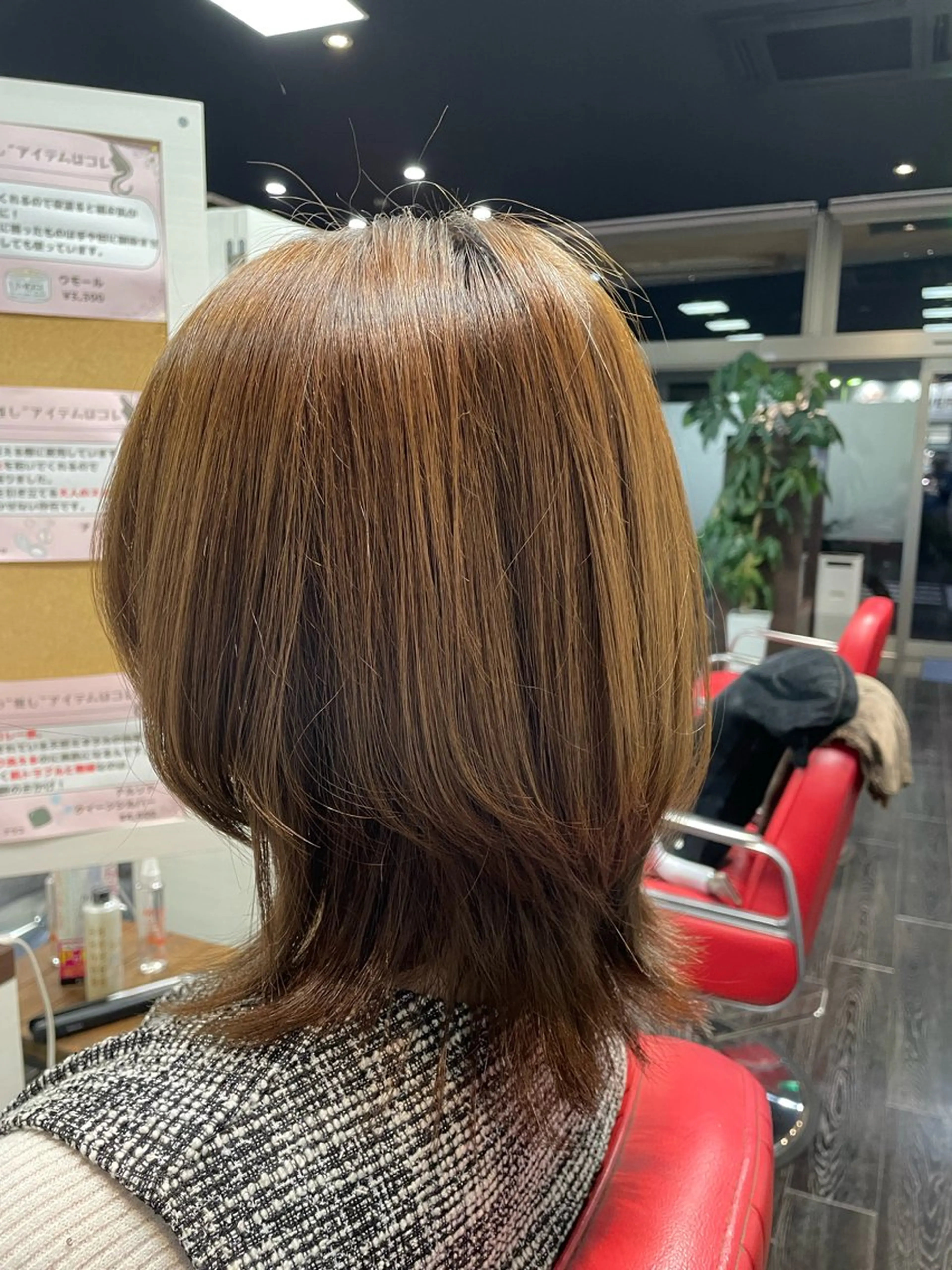 レディースカットの写真