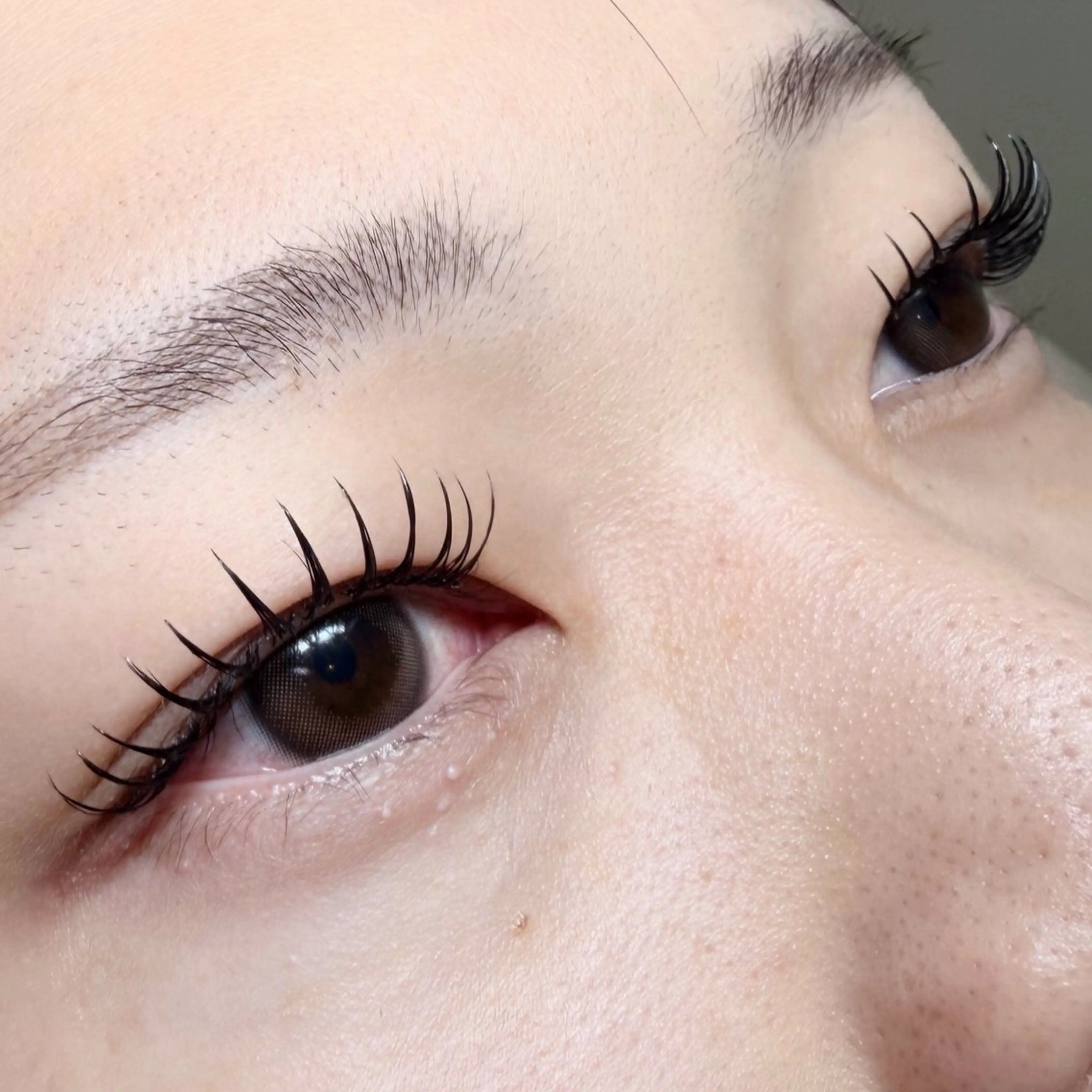 （大人気✨パリエク）パリジェンヌ✖︎フラットラッシュ120本🎀➕アイシャンプー付き( ꇐ₃ꇐ )の写真