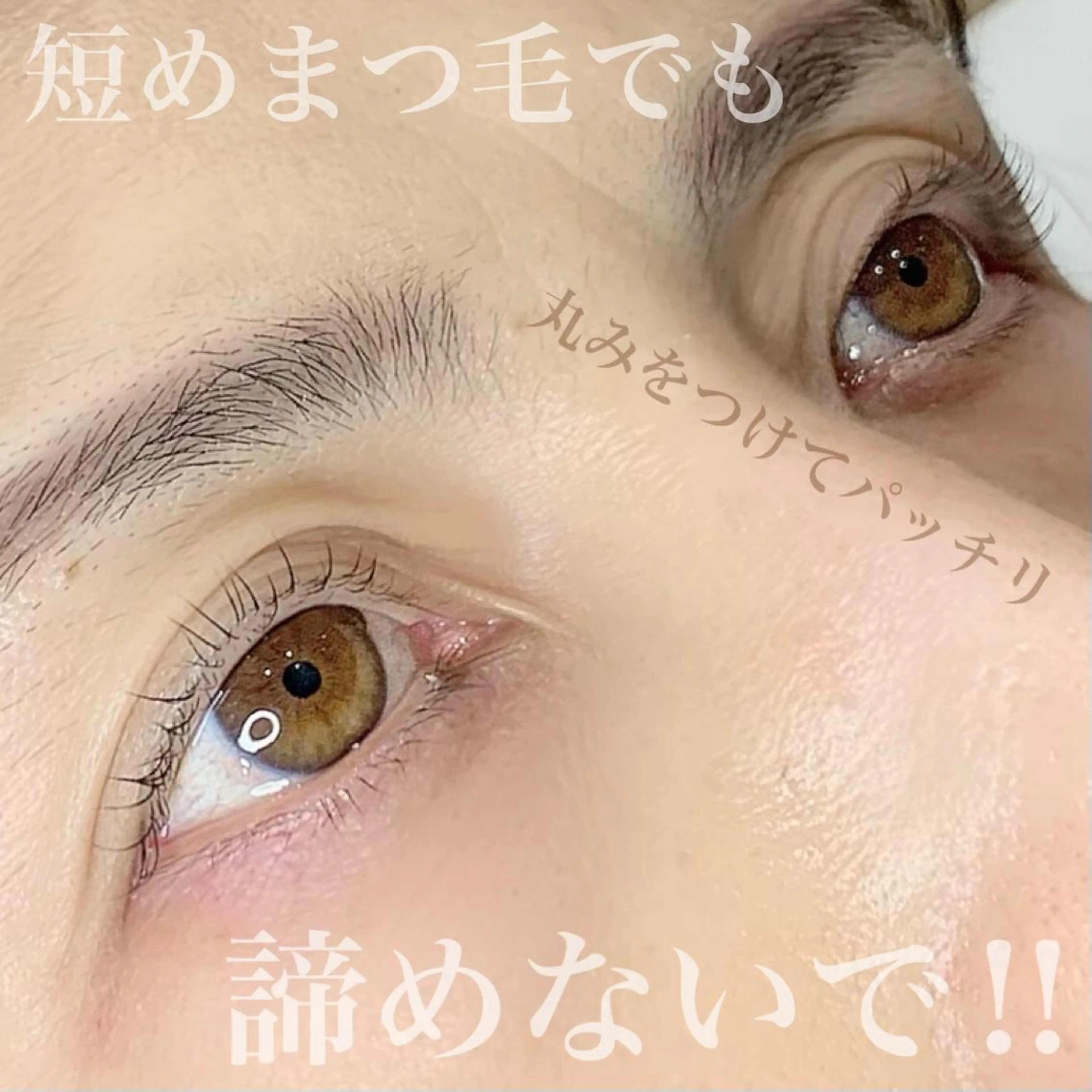 マツエク・マツパ マツパ シェリール✳︎ Erinaのマツエク・マツパデザイン