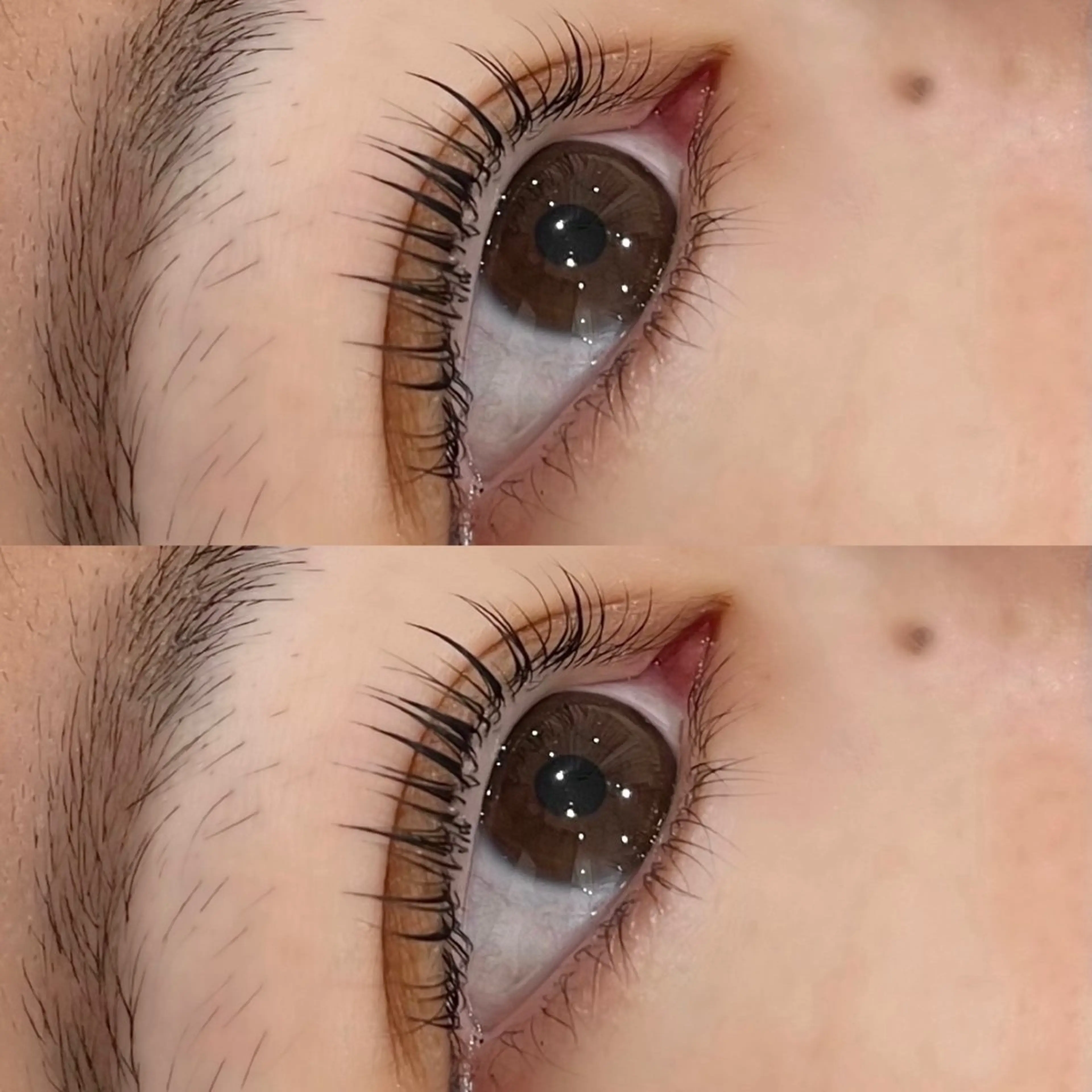 マツエク・マツパ 一重×まつ毛パーマ LASHmuse所属・安田 萌夏のマツエク・マツパデザイン