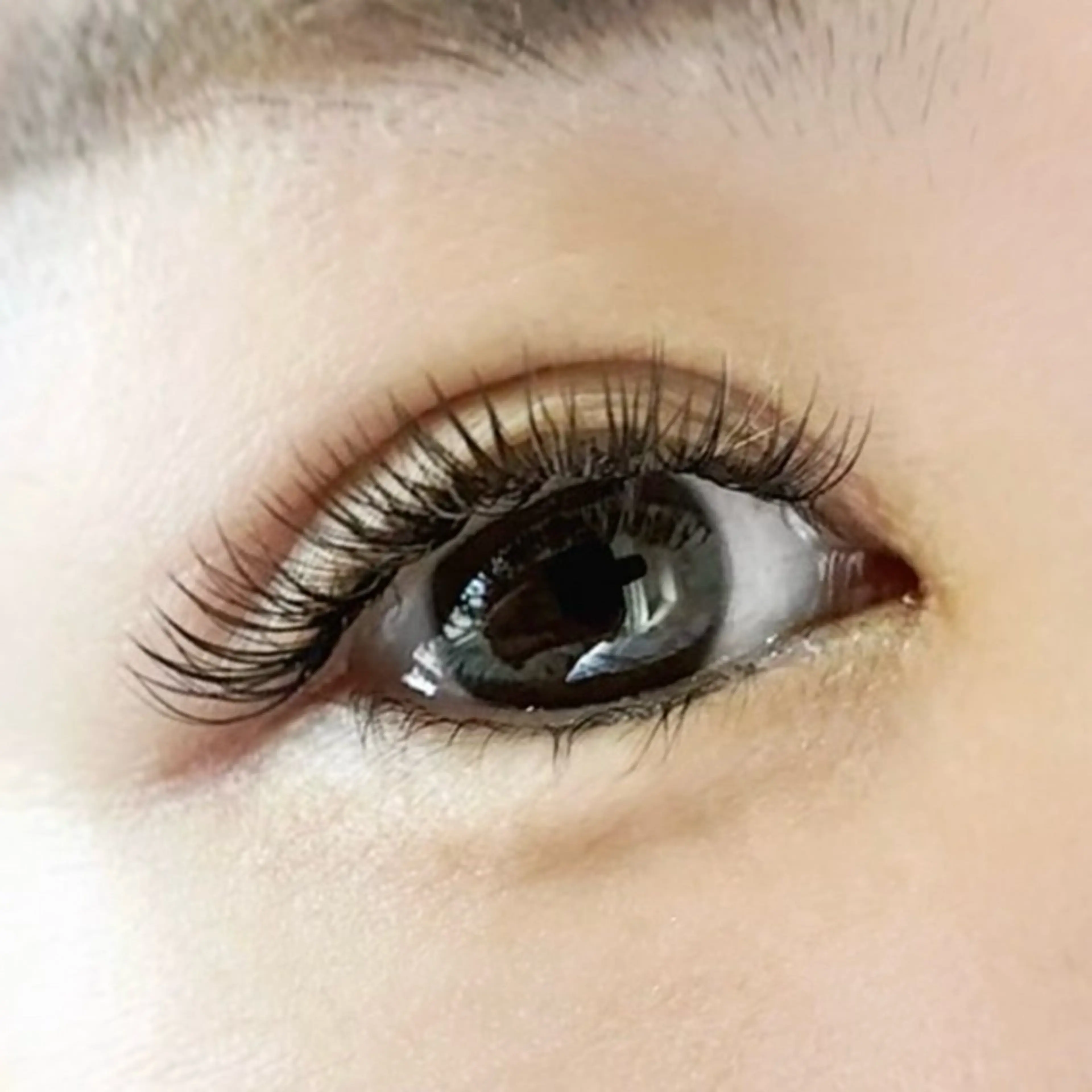 マツエク・マツパ ボリュームラッシュ Lash Cara（ﾗｯｼｭ ｶｰﾗ）所属・Cara（ｶｰﾗ） 大河内のマツエク・マツパデザイン