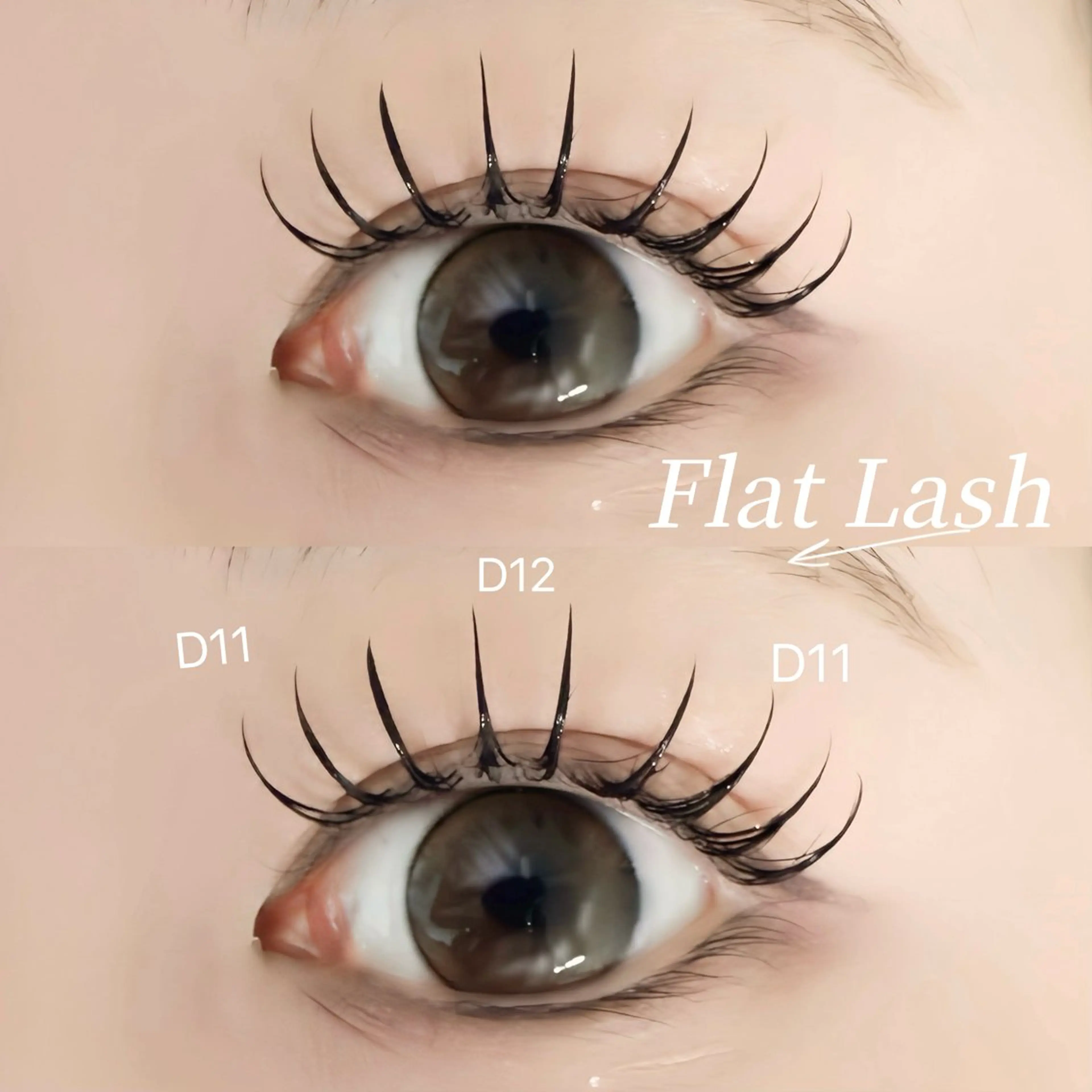 【12/5限定】フラットラッシュ𝟏𝟎𝟎本オフ込𝐂𝐓付🎀 ※特殊エクステオフは別料金になりますの写真