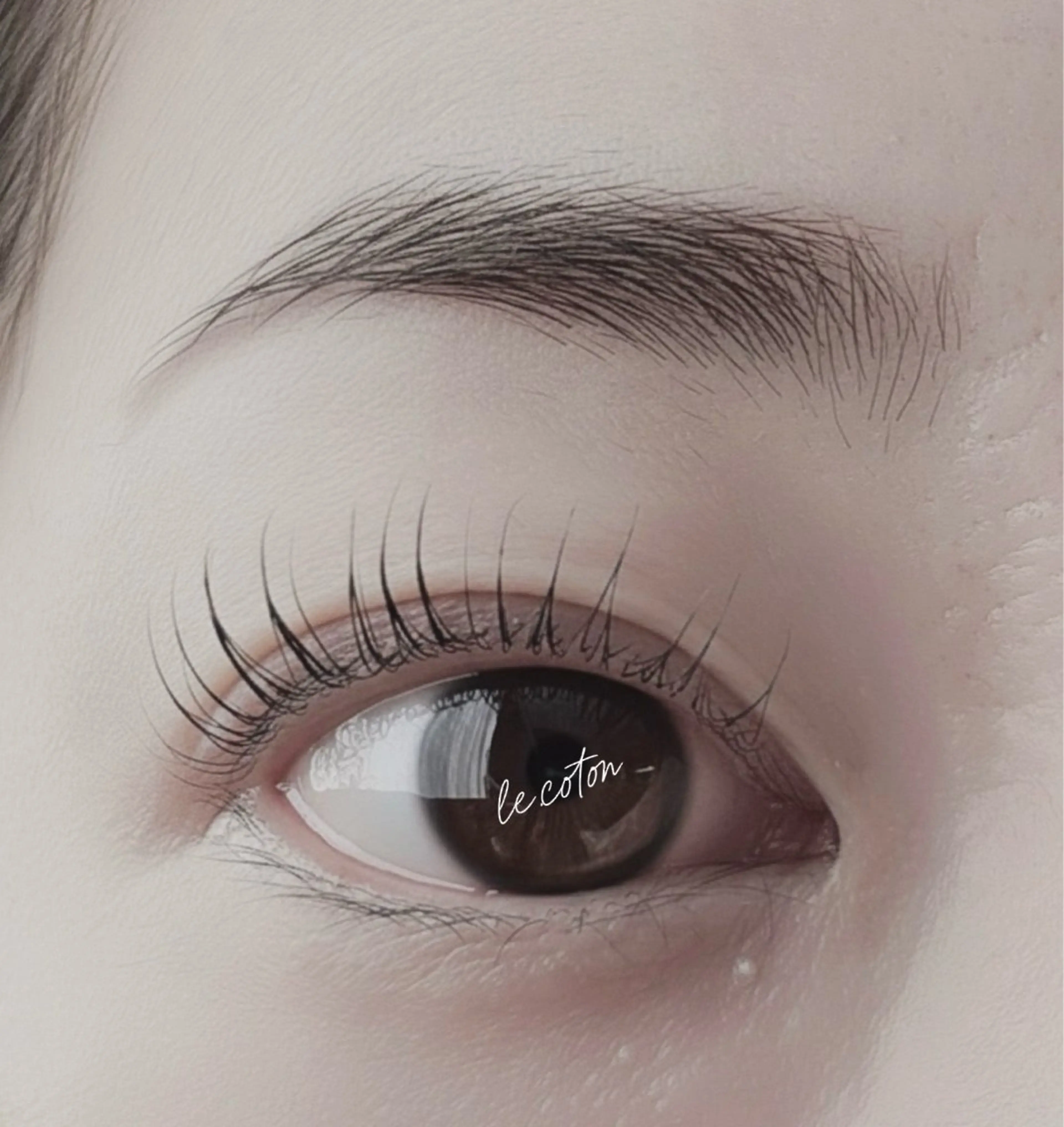 マツエク・マツパ Eyelash   le・coton所属・前田 木綿子のマツエク・マツパデザイン
