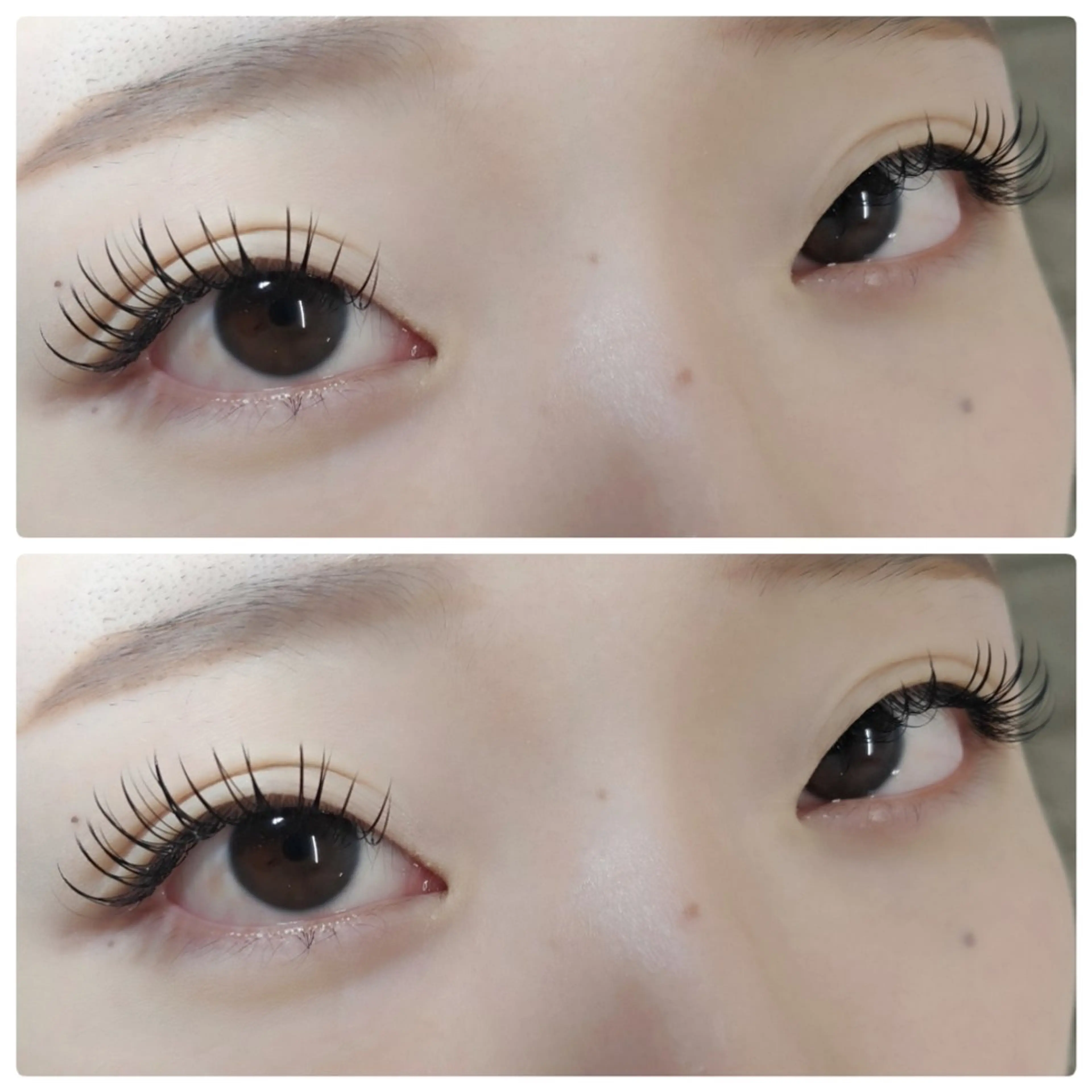 マツエク・マツパ フラットラッシュ CHERIE blanc.西中島店所属・CHERIE. blanc徒歩3分のマツエク・マツパデザイン