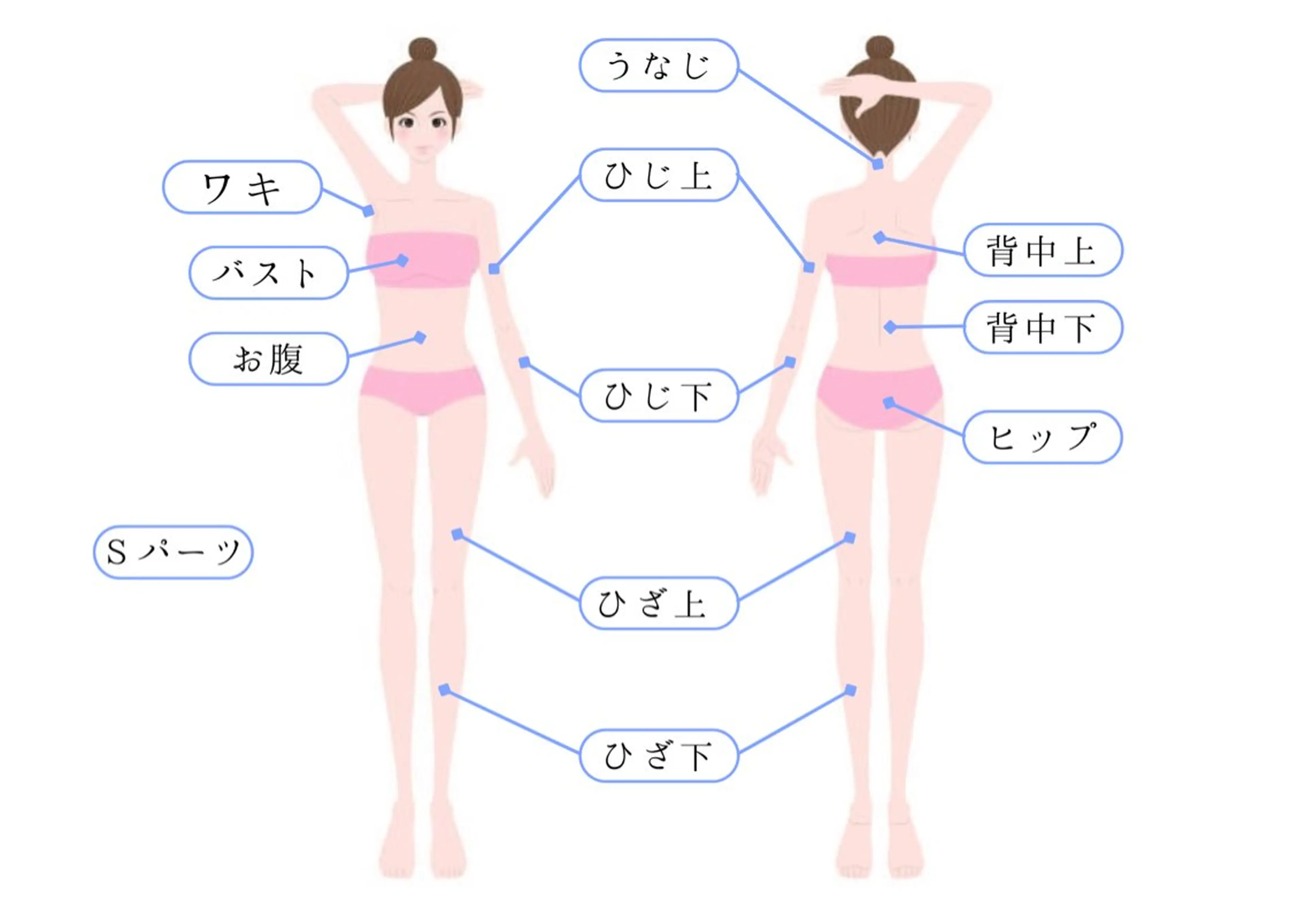 Sパーツ《ワキ･バスト･お腹･肘下･肘上･うなじ･背中上･背中下･ヒップ･膝上･膝下》から1部位お選びくださいの写真