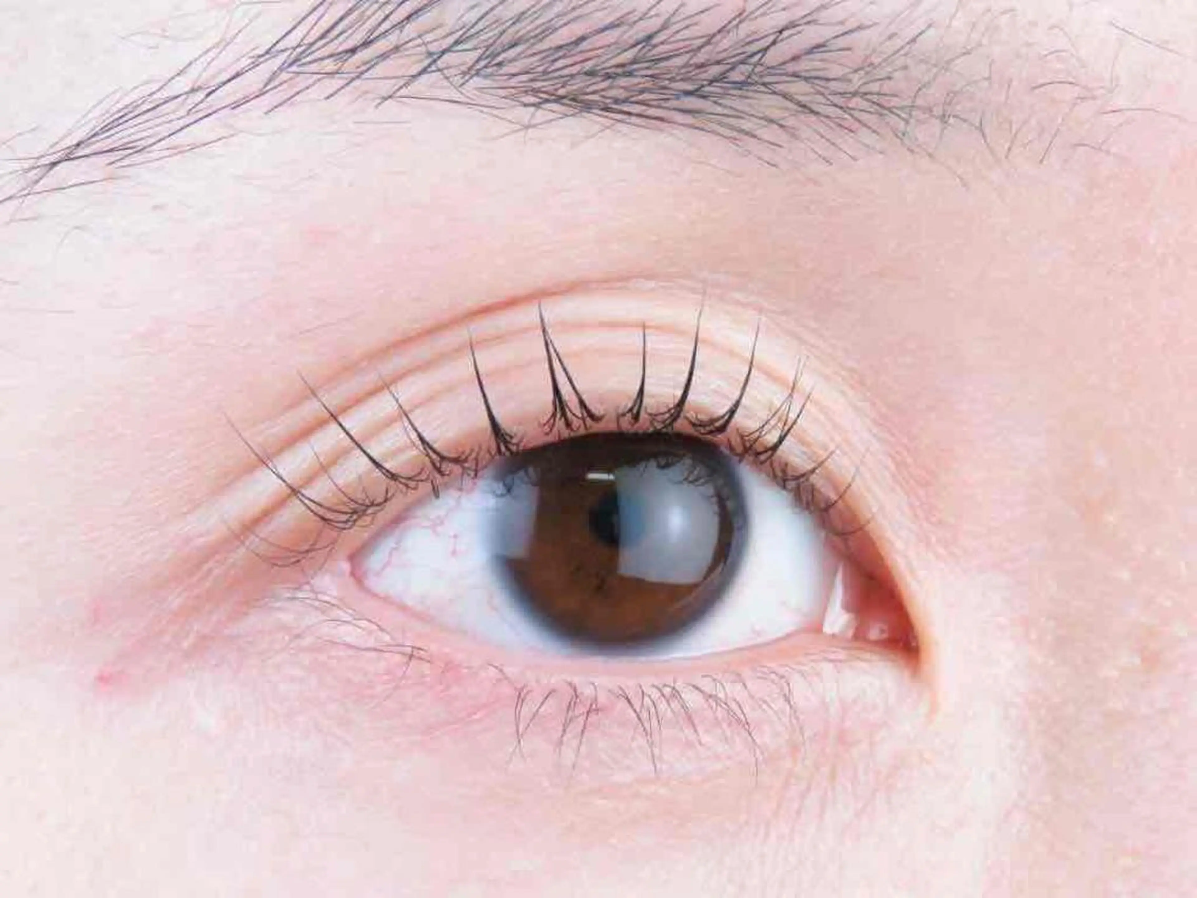 マツエク・マツパ マツパ R'ocoLush 恵比寿店江川のマツエク・マツパデザイン