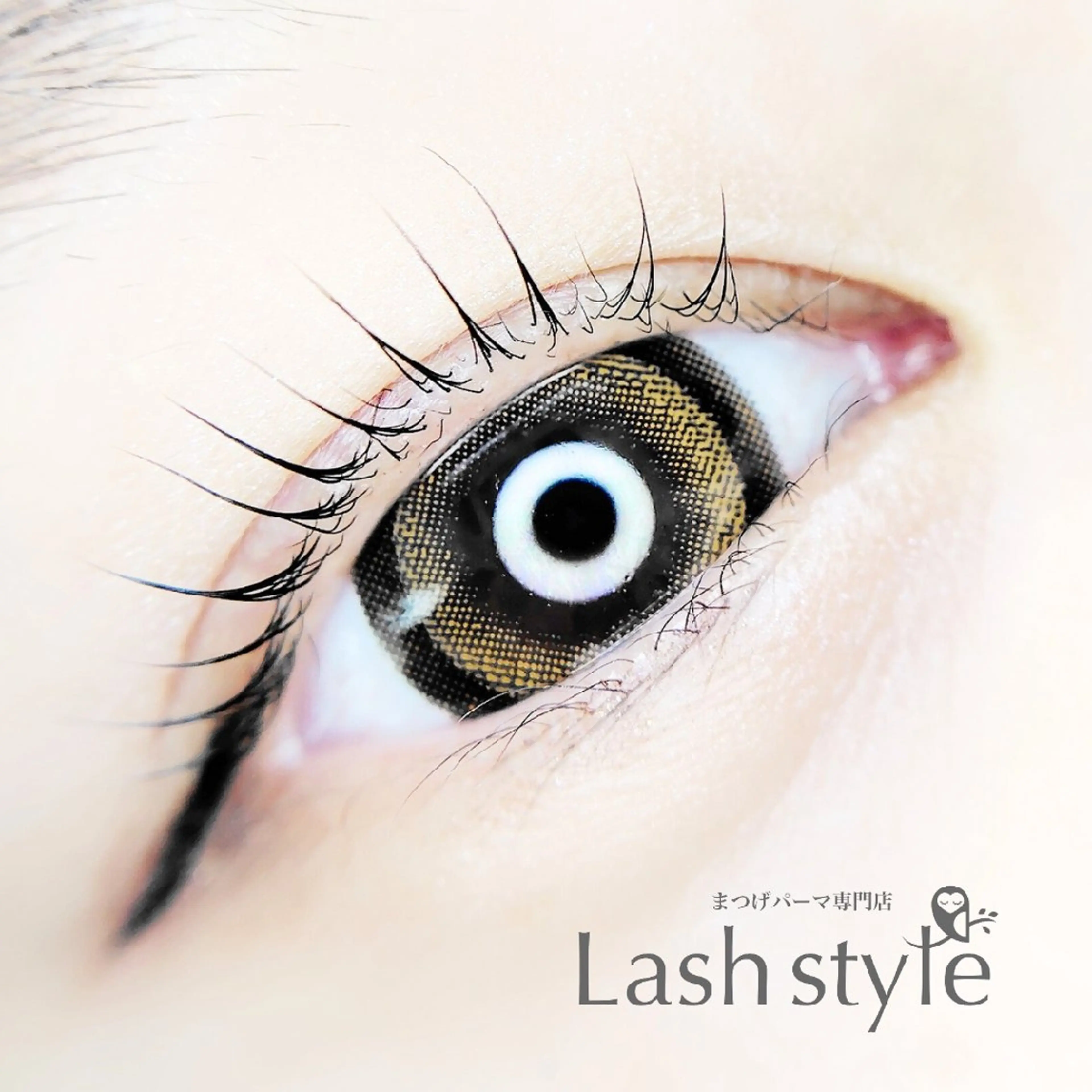 マツエク・マツパ まつげパーマ専門店 Lash style by TONE所属・まつげパーマ専門店 Lash styleの眉毛・アイブロウイメージ