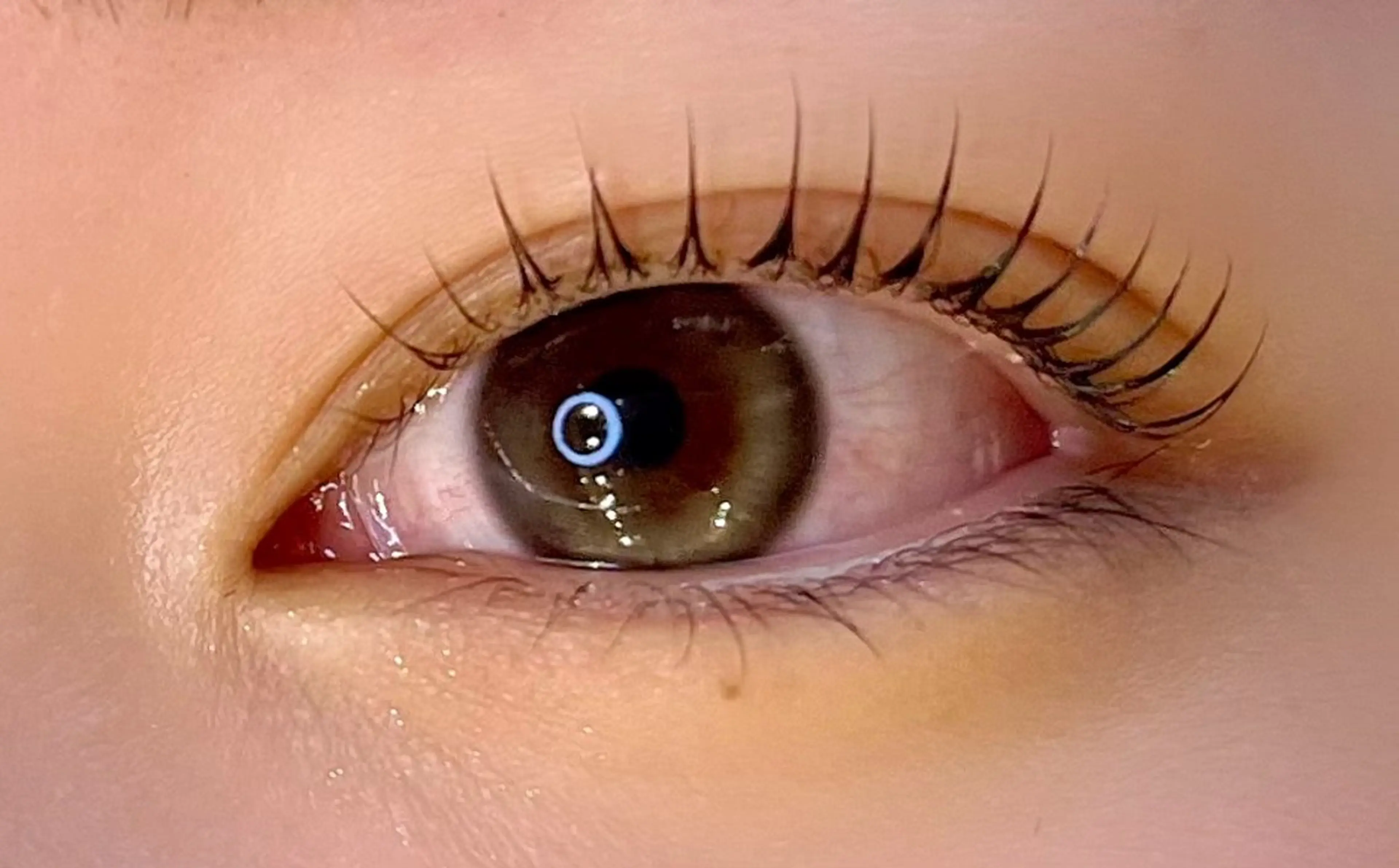 【人気🩵まつげパーマ】コーティング込み♡の写真