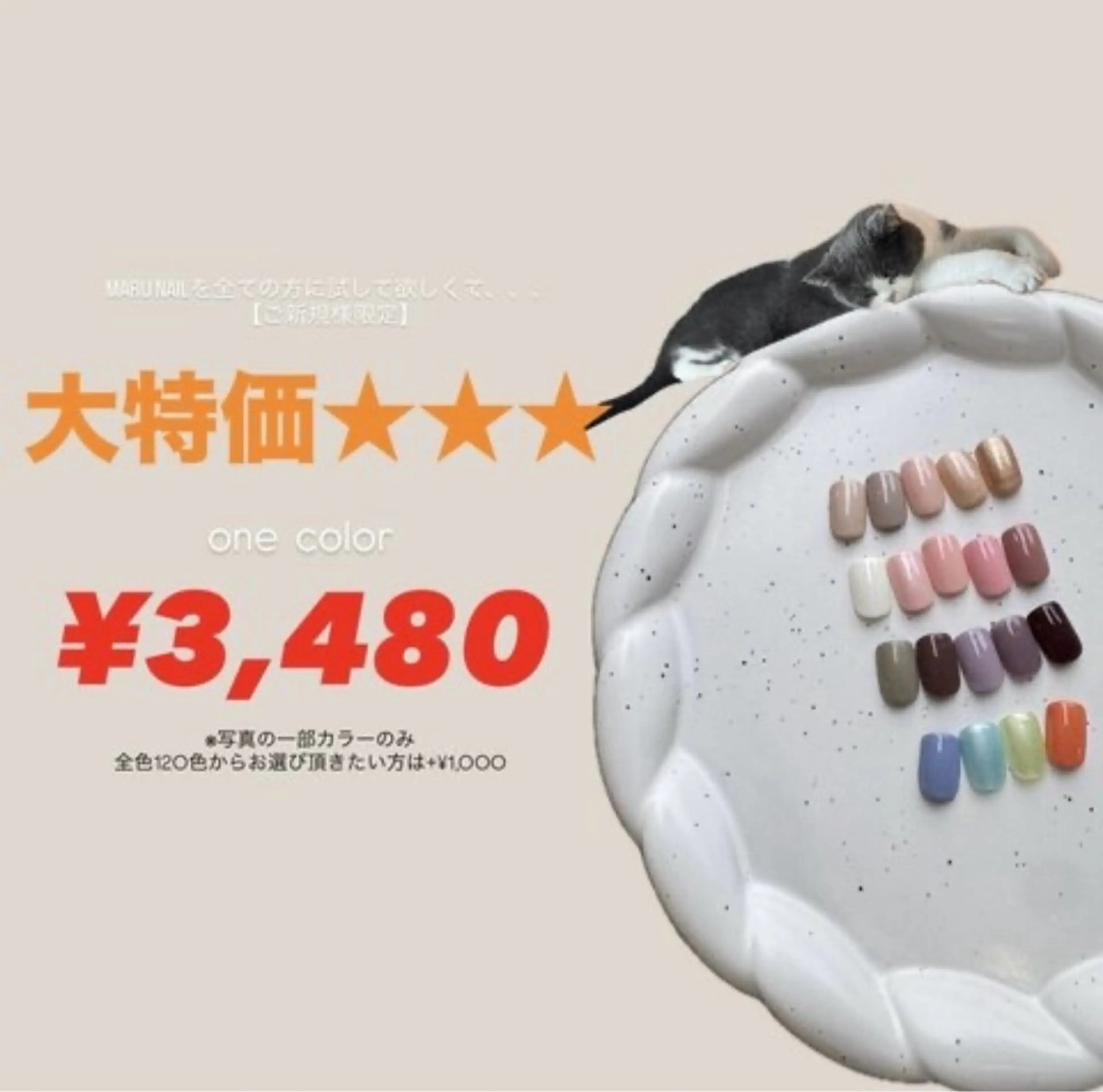 【ご新規様限定】初回オフ無料HAND⭐️【オフあり】ワンカラー¥3,480の写真