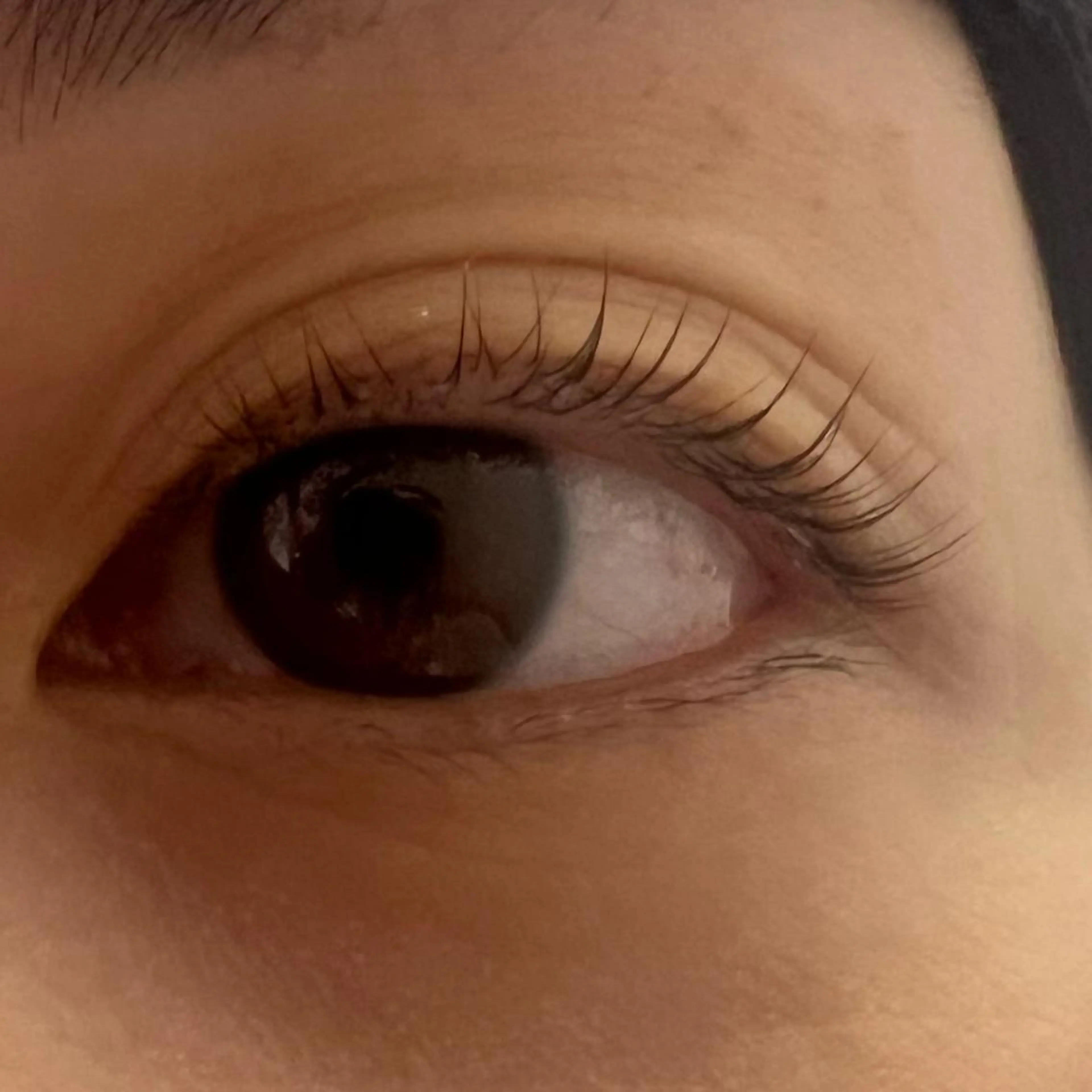 マツエク・マツパ miel中百舌鳥所属・miel yamaguchiの眉毛・アイブロウイメージ