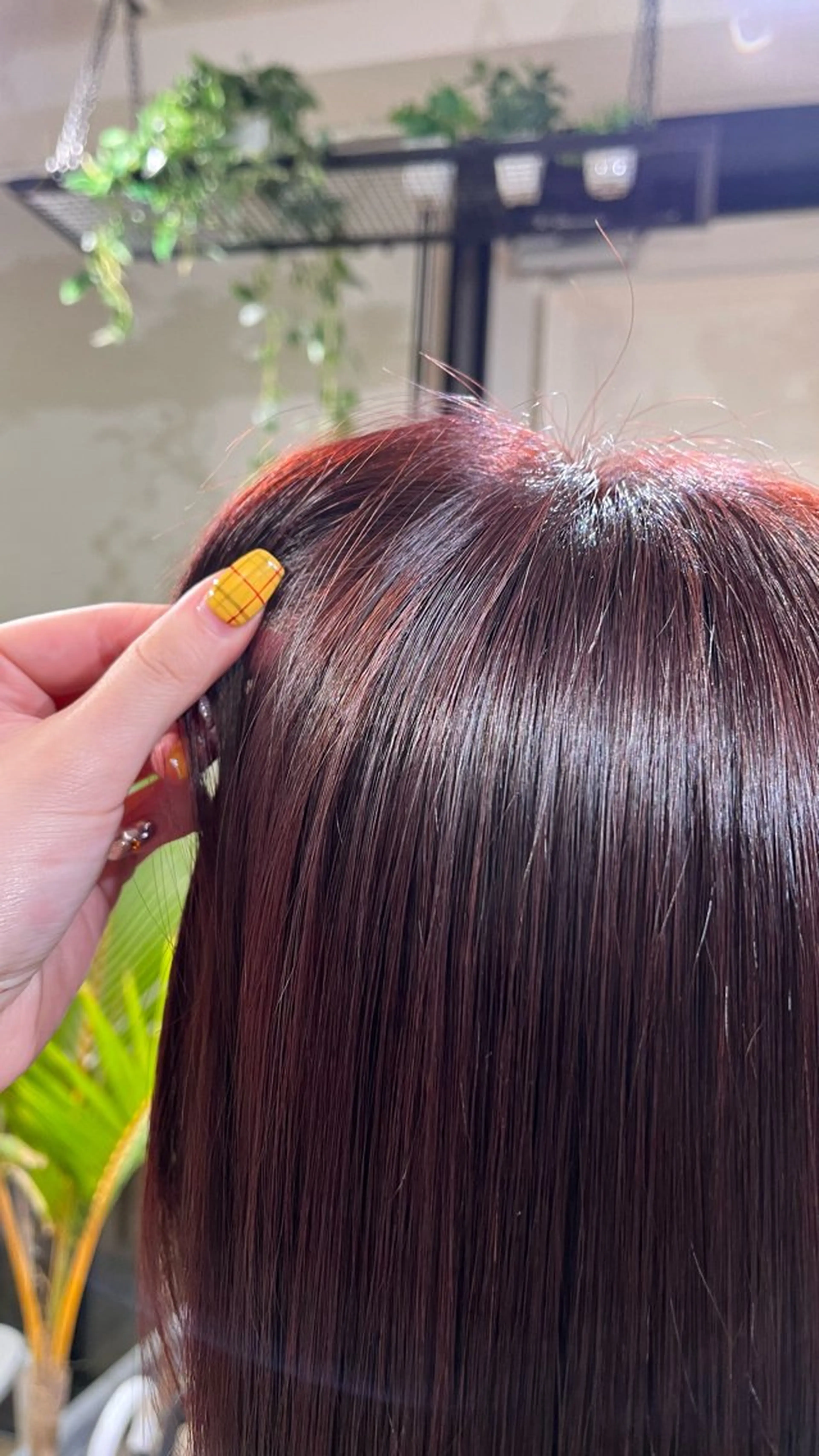カラー 今井 凜のヘアスタイル