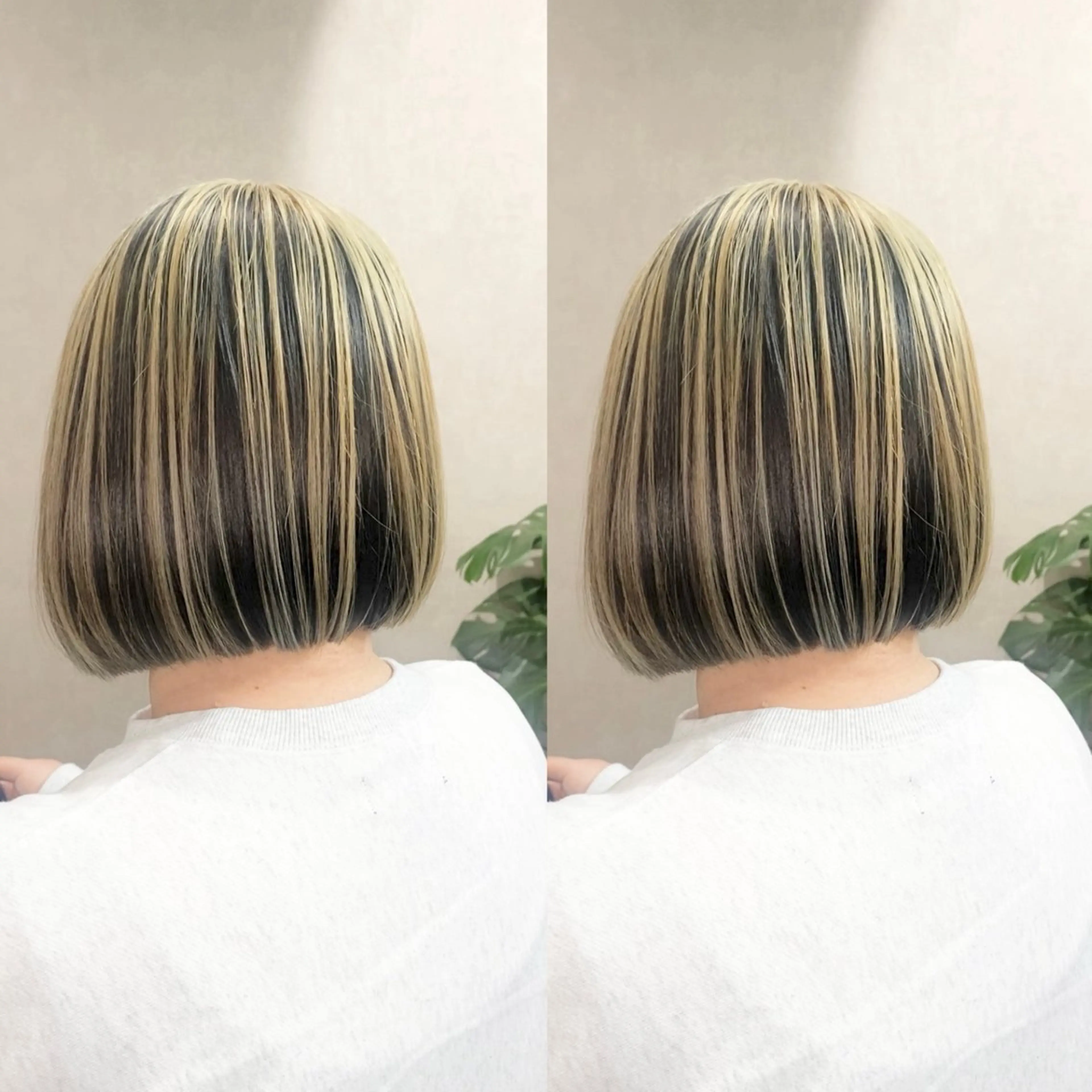 ミディアム カット ヘアカラー _White所属・ＳＨＩ ＺＵのヘアスタイル