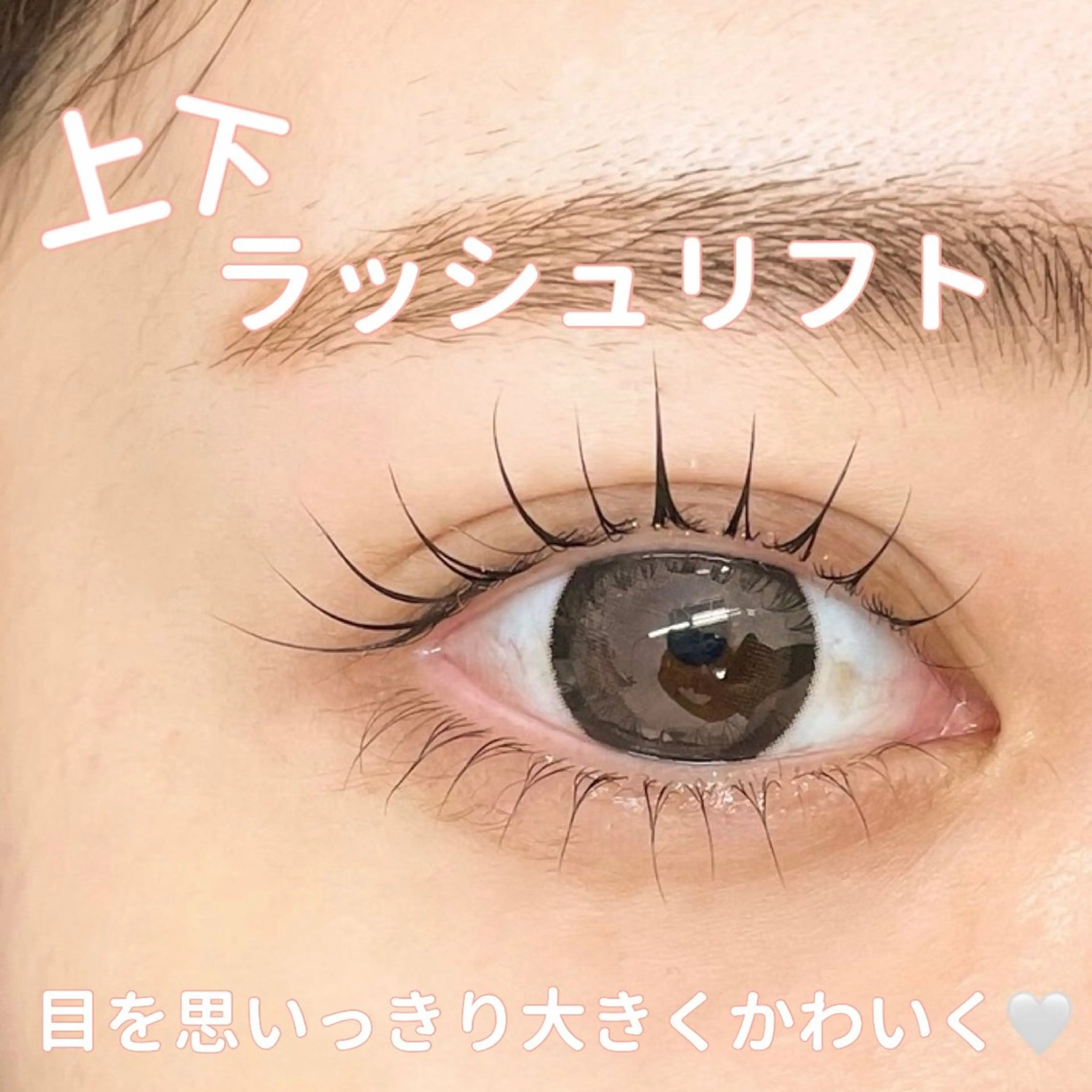 下まつげの写真