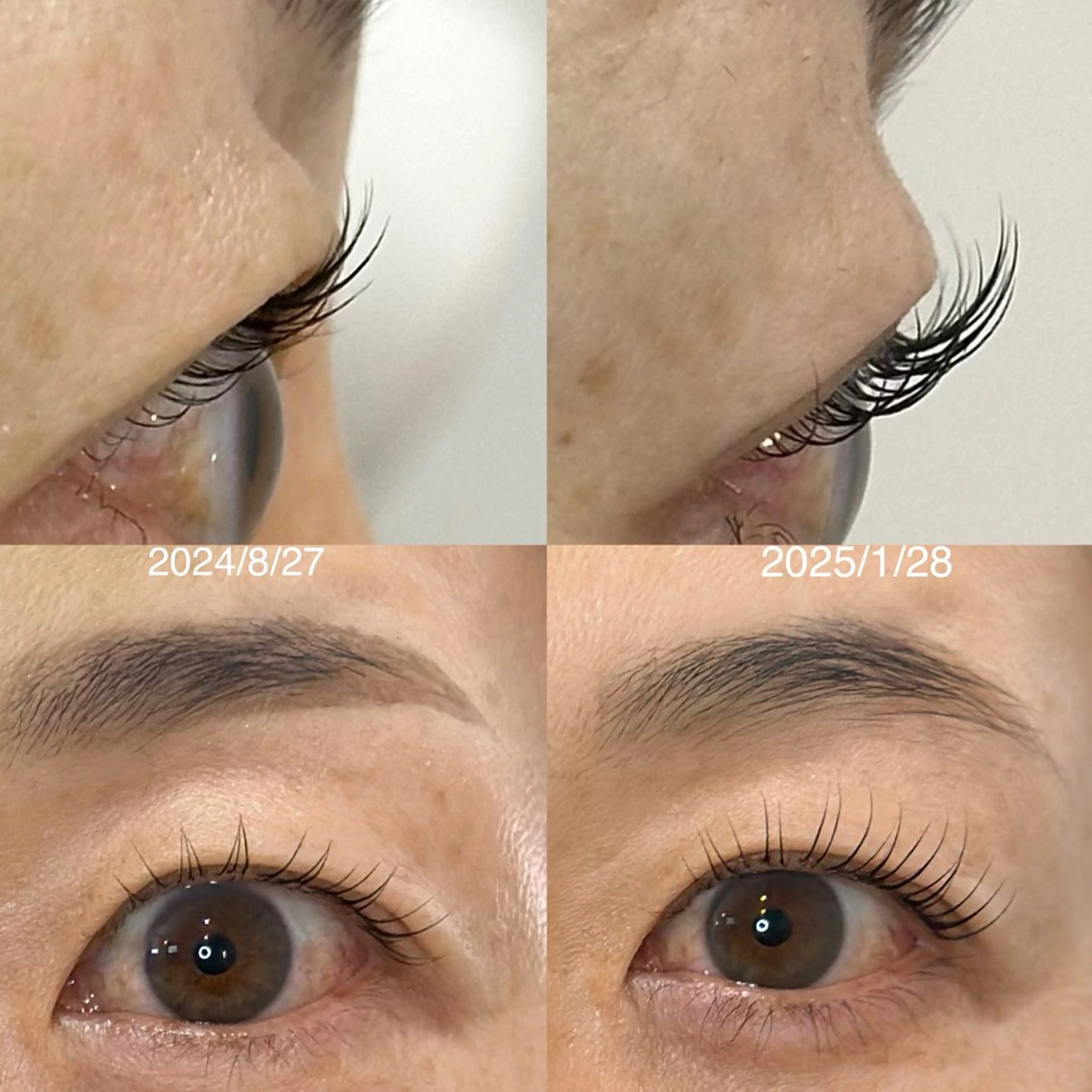 アイブロウ Neige いよの眉毛・アイブロウイメージ