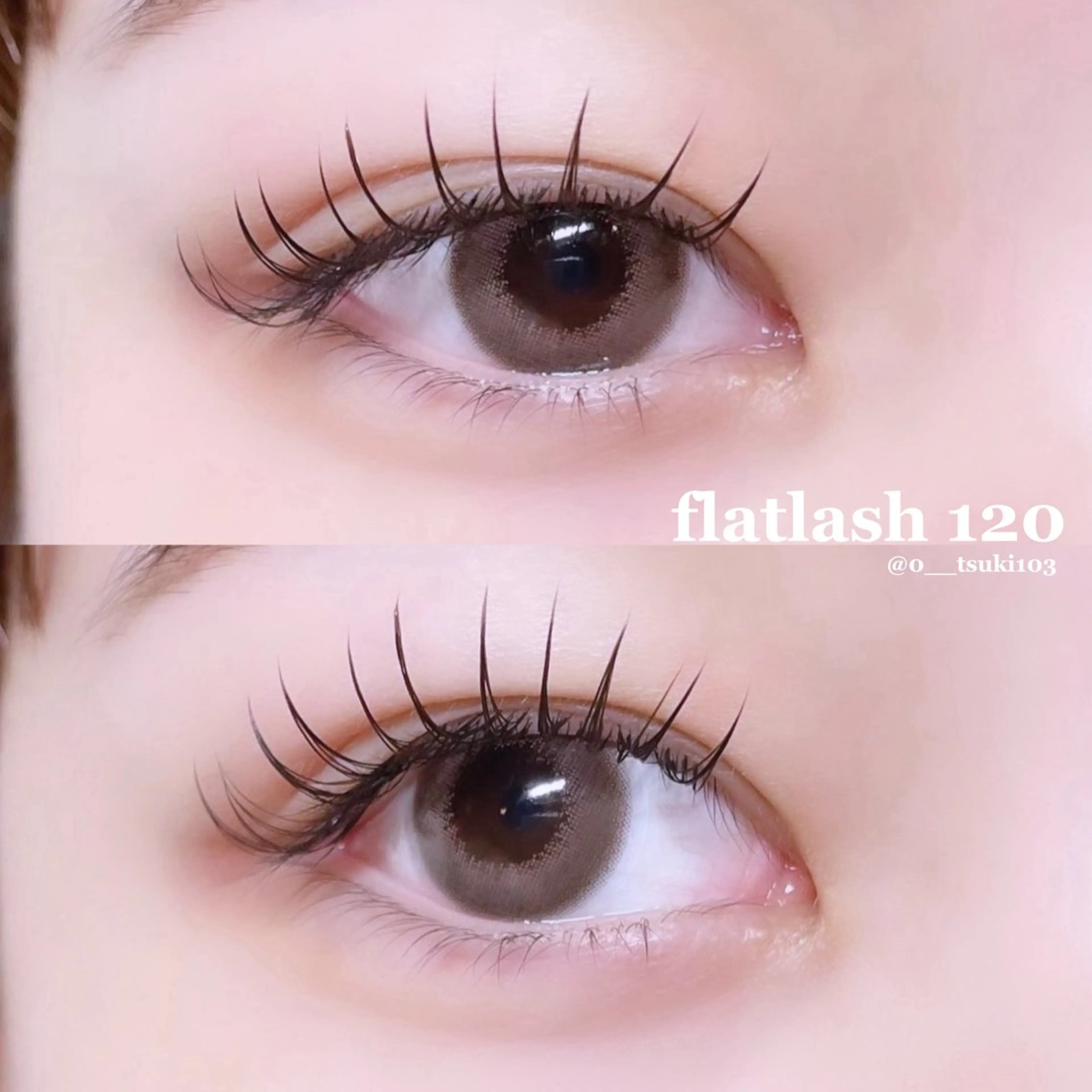 フラットマットラッシュ100本の写真
