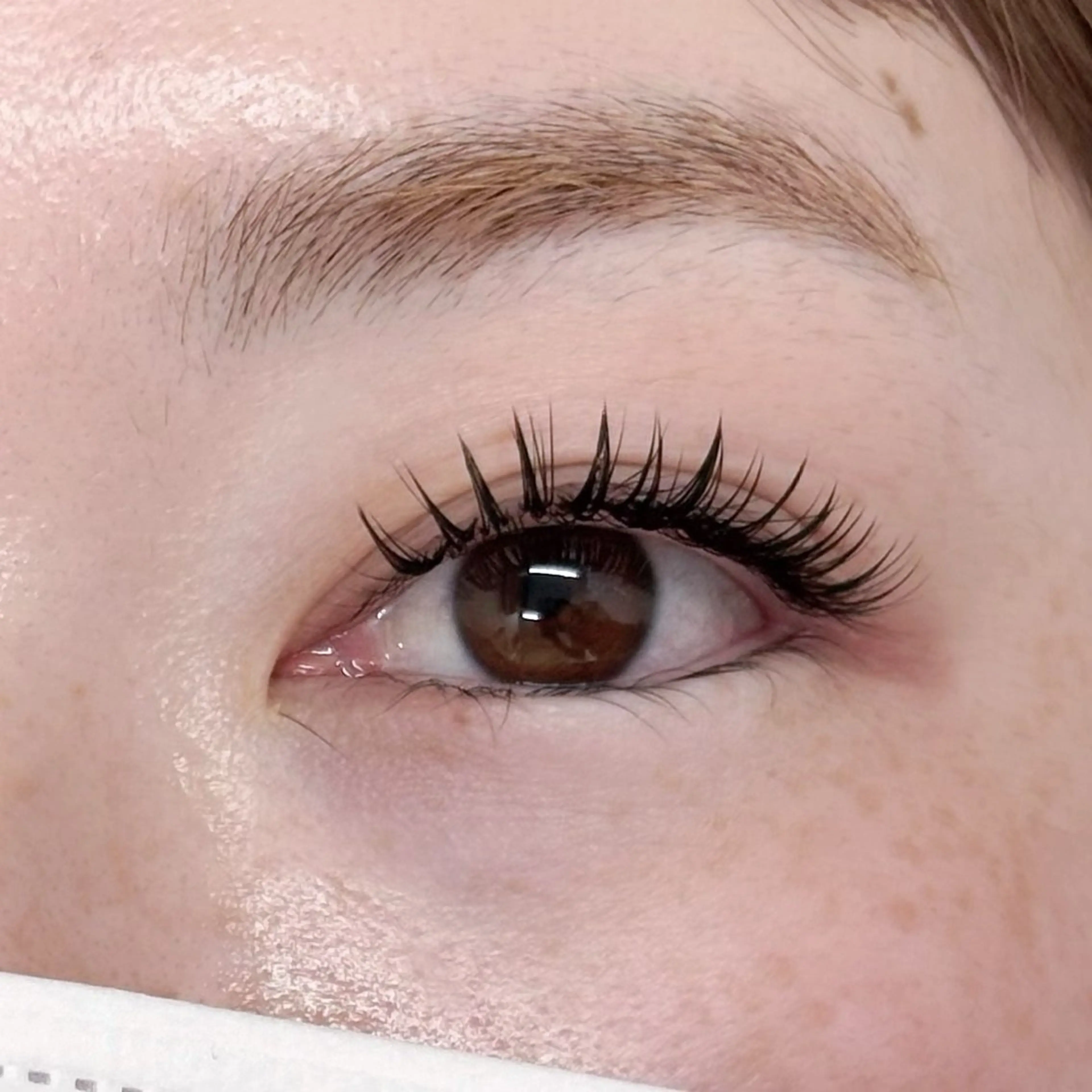 マツエク・マツパ マツエク eyelash LOOPのマツエク・マツパデザイン