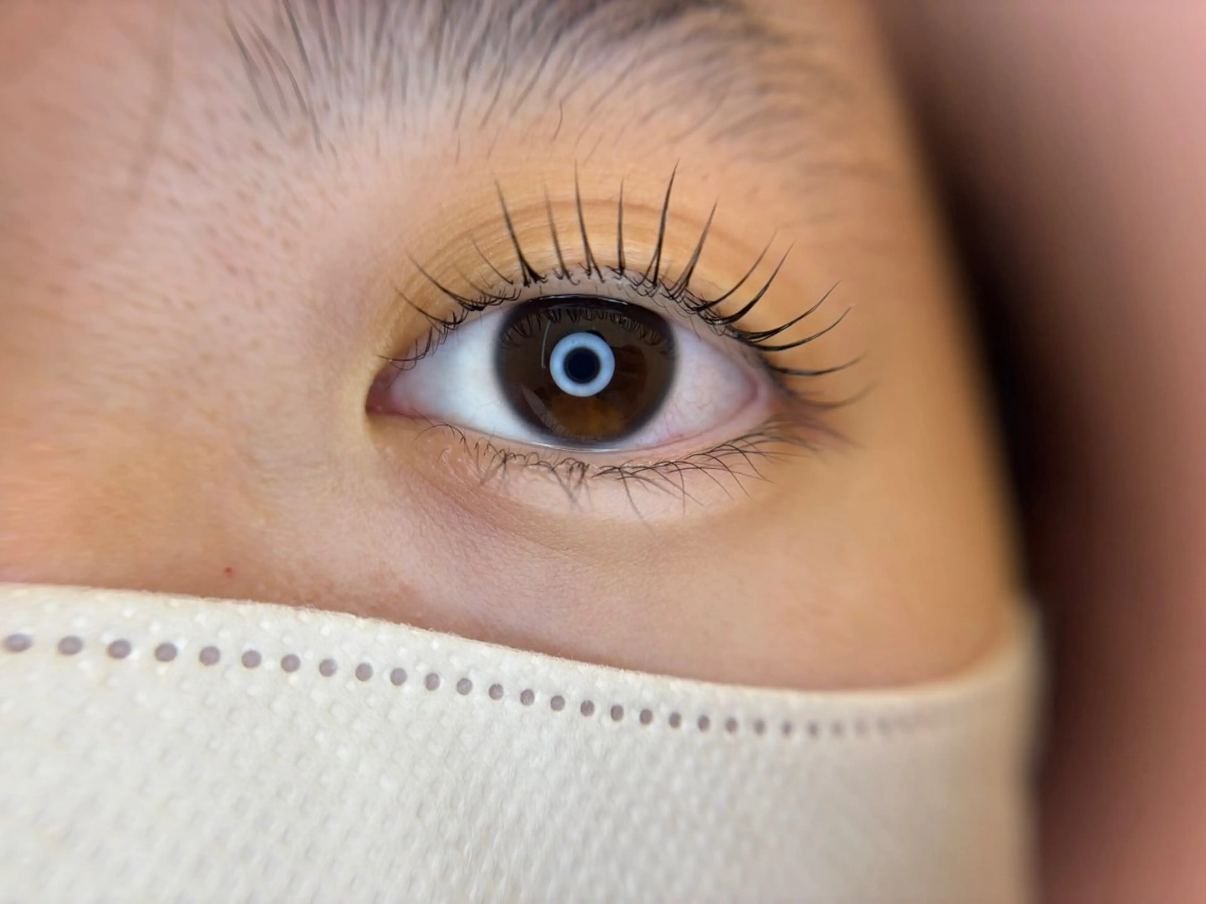 【学割U24】平日限定まつ毛パーマの写真