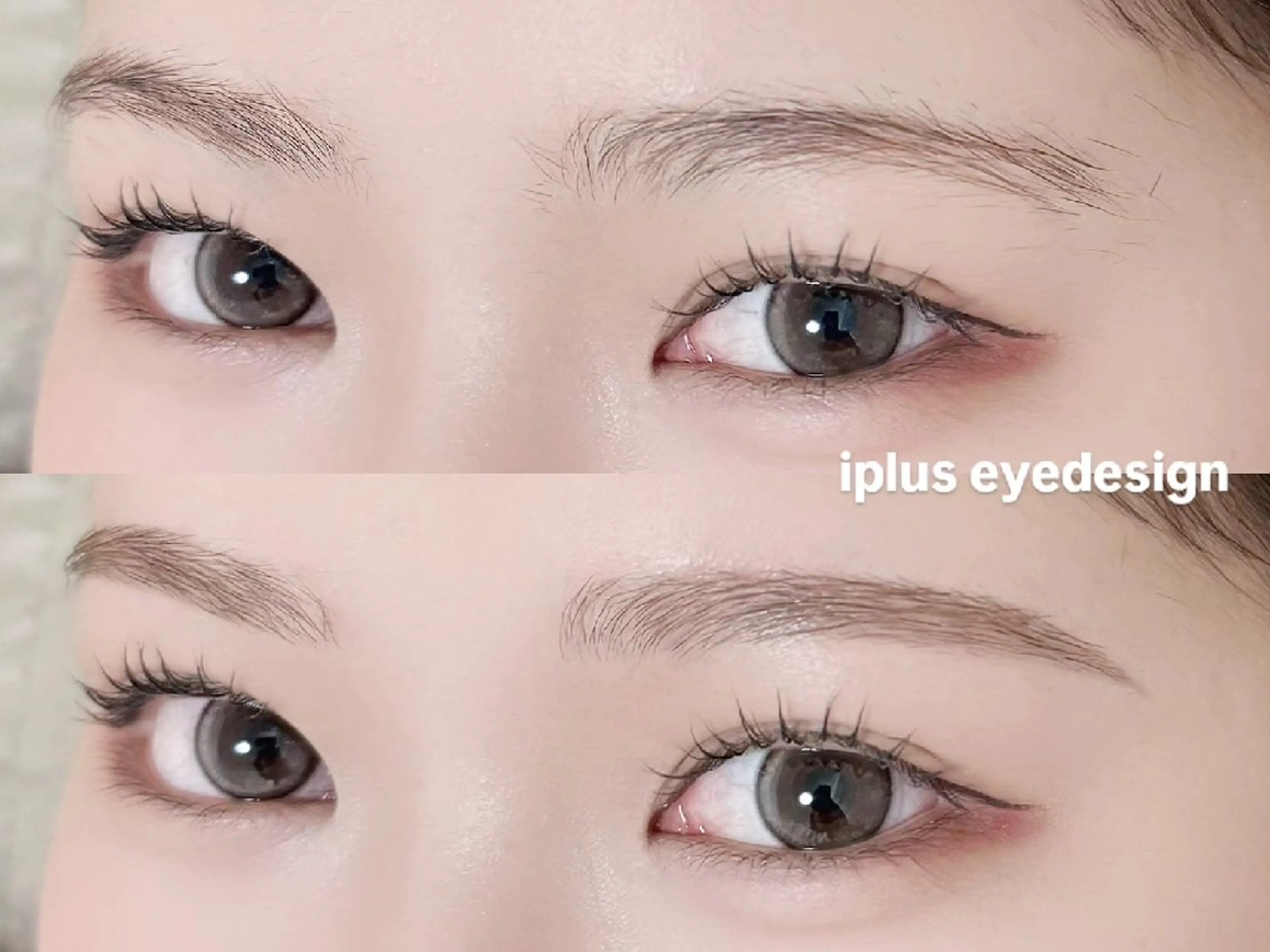 アイブロウ 眉毛ワックス脱毛 ワックス脱毛 その他(アイブロウ) iplus✴ eyedesign の眉毛・アイブロウイメージ