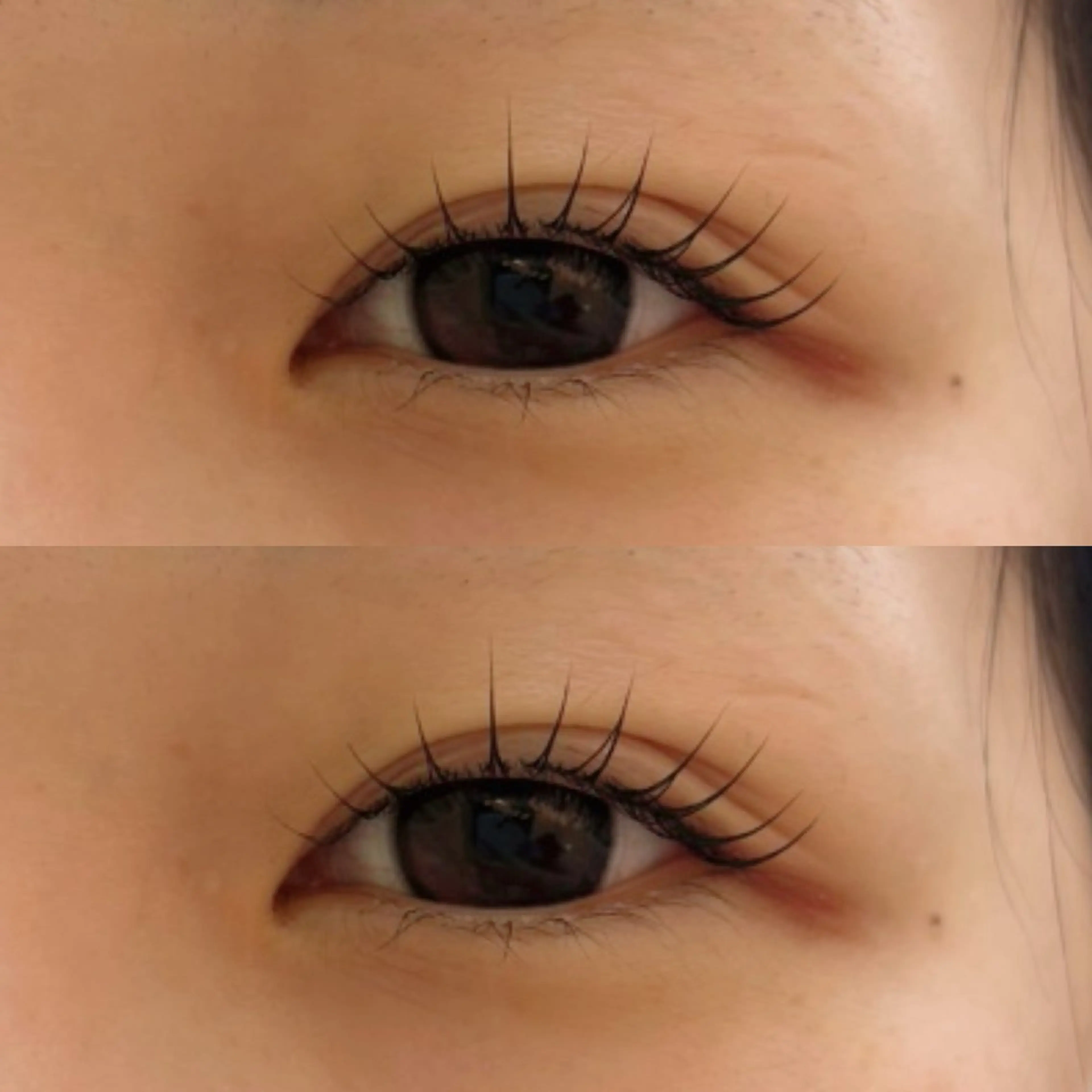 🩵3回目の方🩵まつ毛パーマ(ラッシュリフト)コーティング付の写真