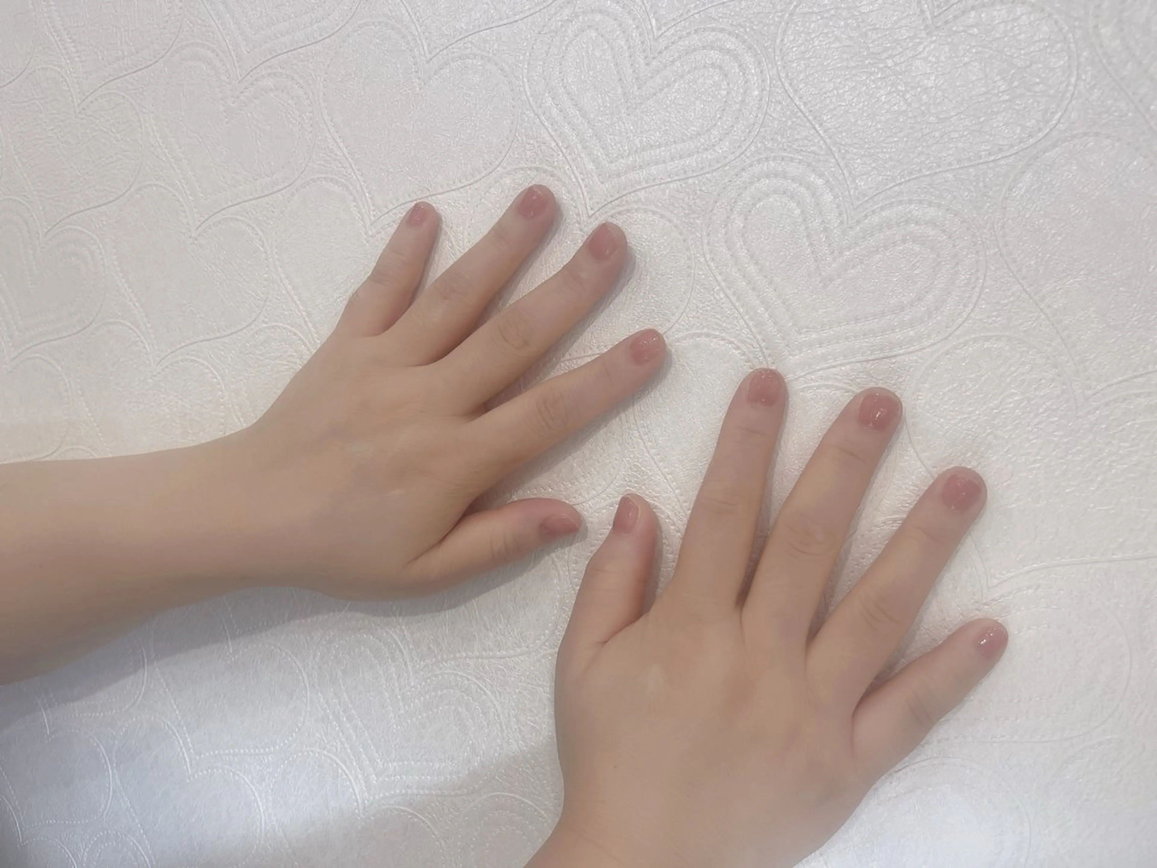 ワンカラー(オフなし)の写真
