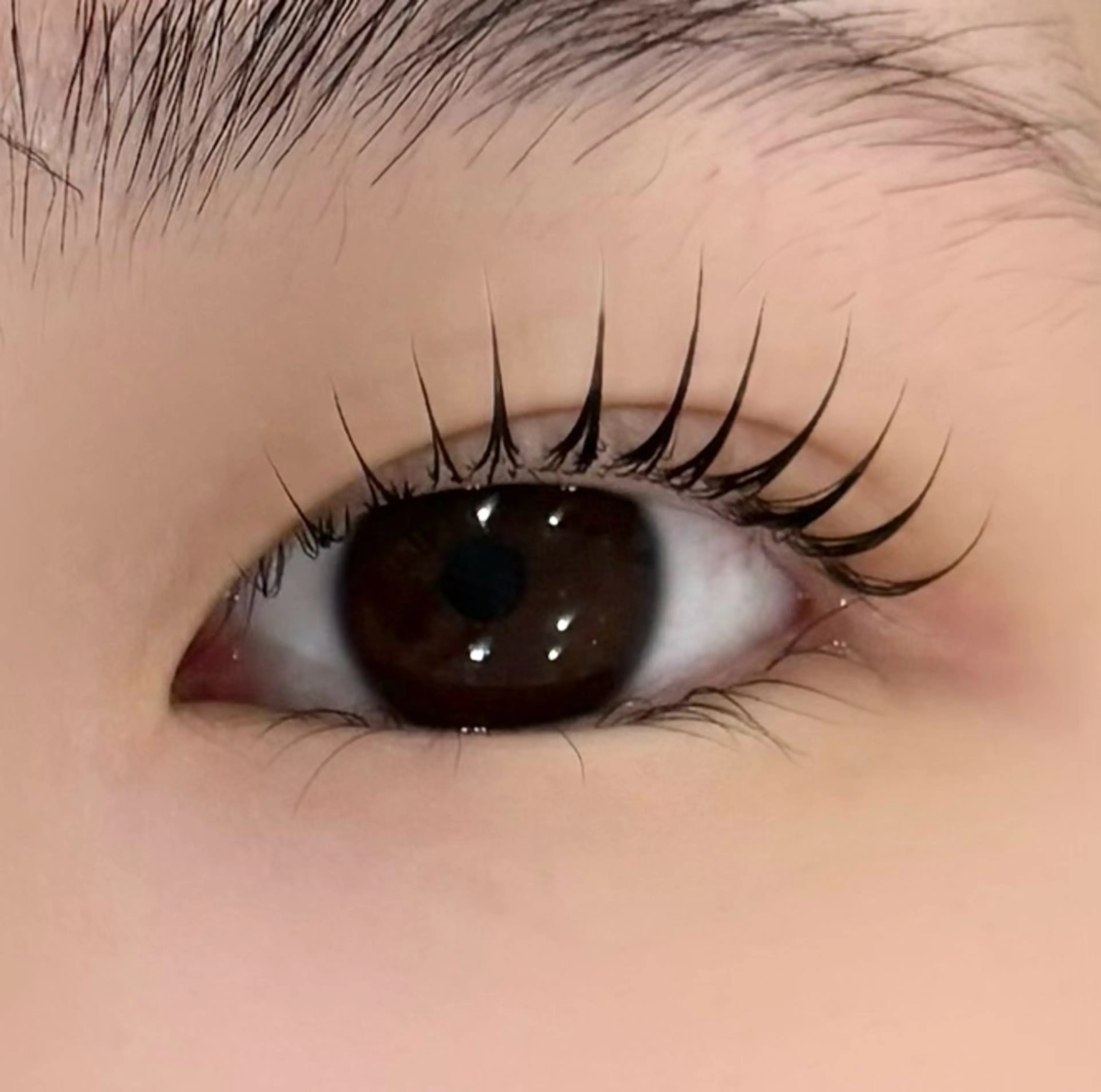 マツエク・マツパ 一重×まつ毛パーマ Belle所属・Belle 京橋店 吉本のマツエク・マツパデザイン