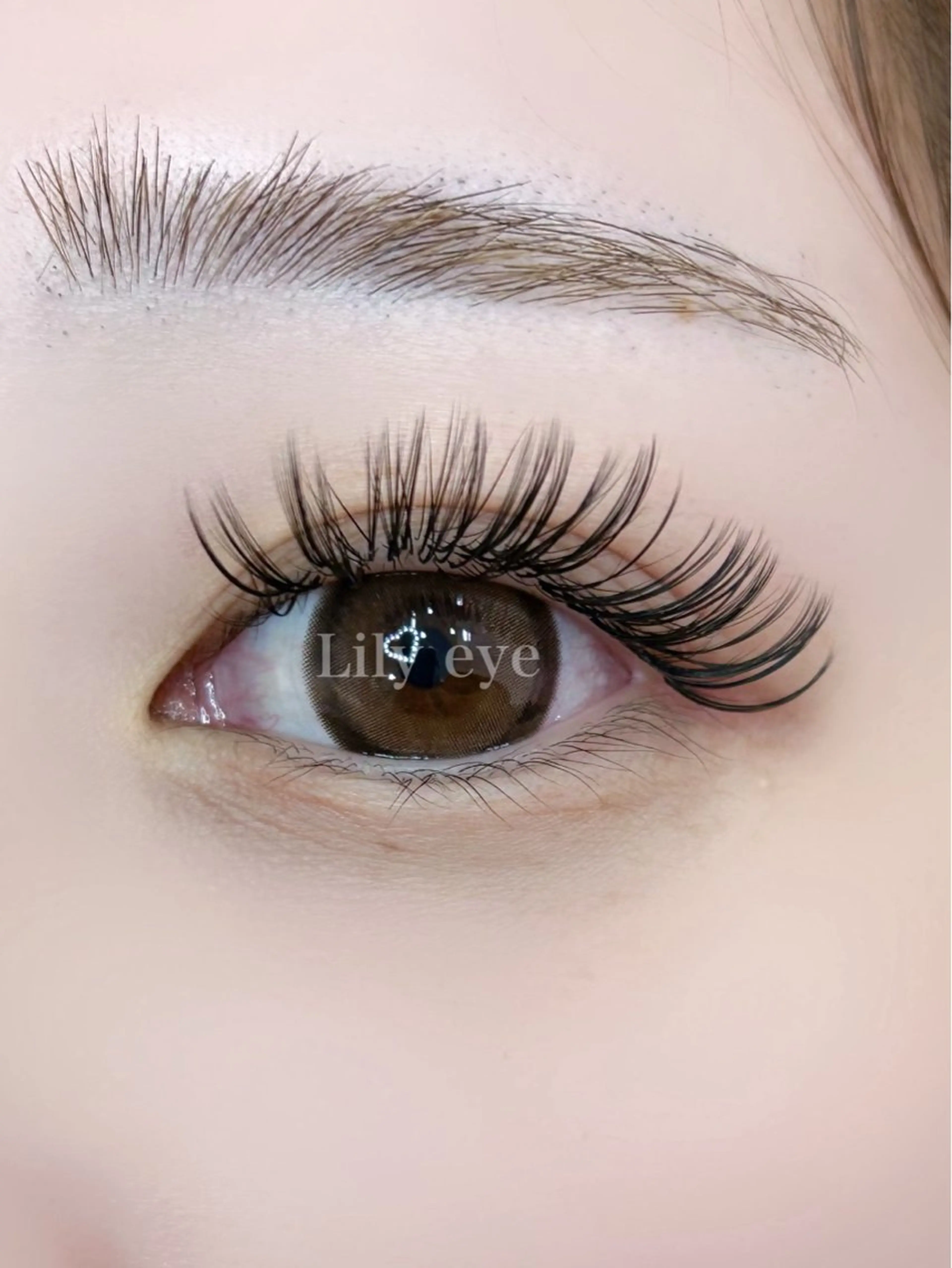 オープン記念価格🌟ボリュームラッシュ80束🌟の写真