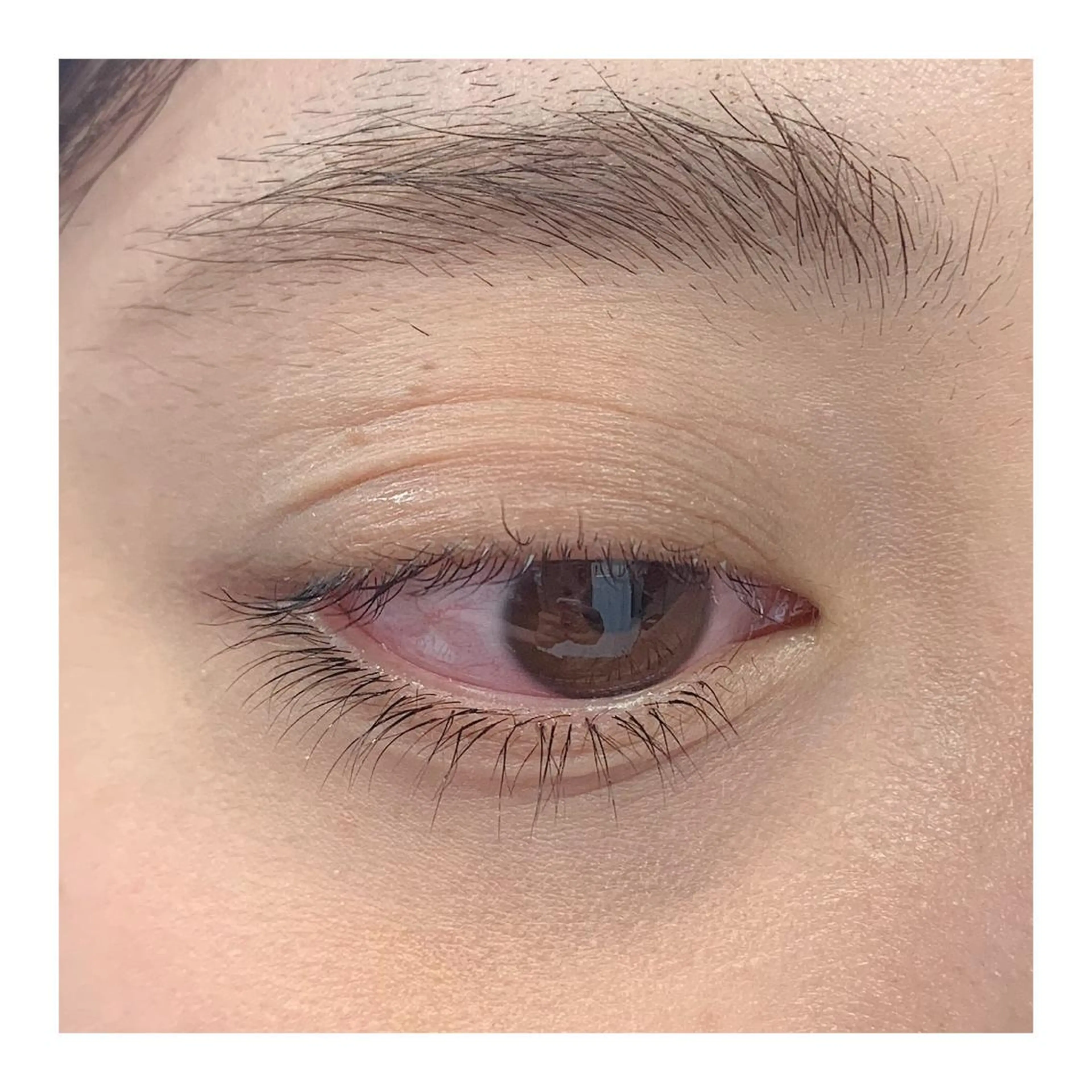 下まつげ 付け放題の写真