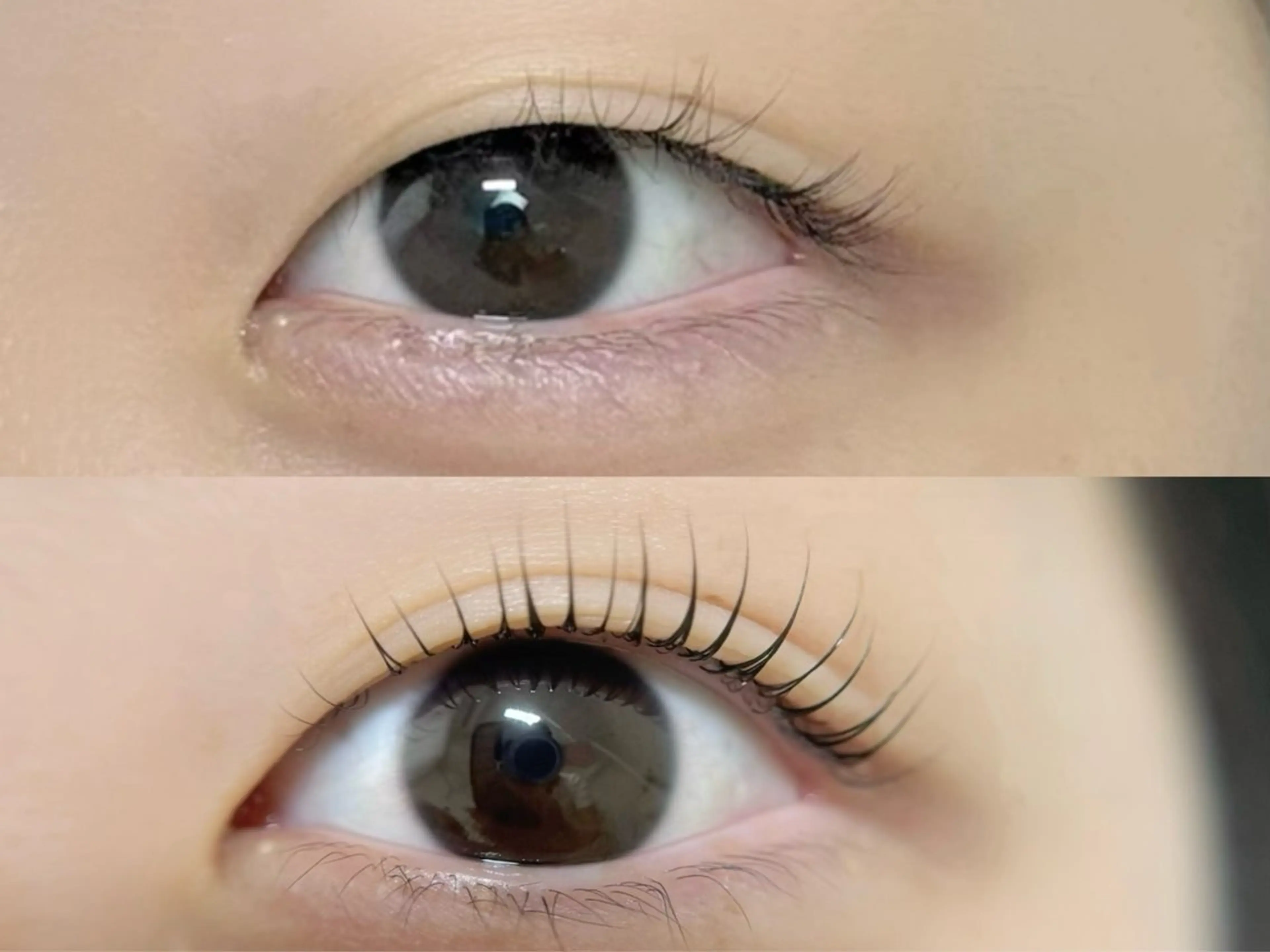 まつ毛パーマ(シャンプー、トリートメント、コーティング付き)🌸80種類以上ロッドでぱっちり〜くるんとカールまでデザインの写真