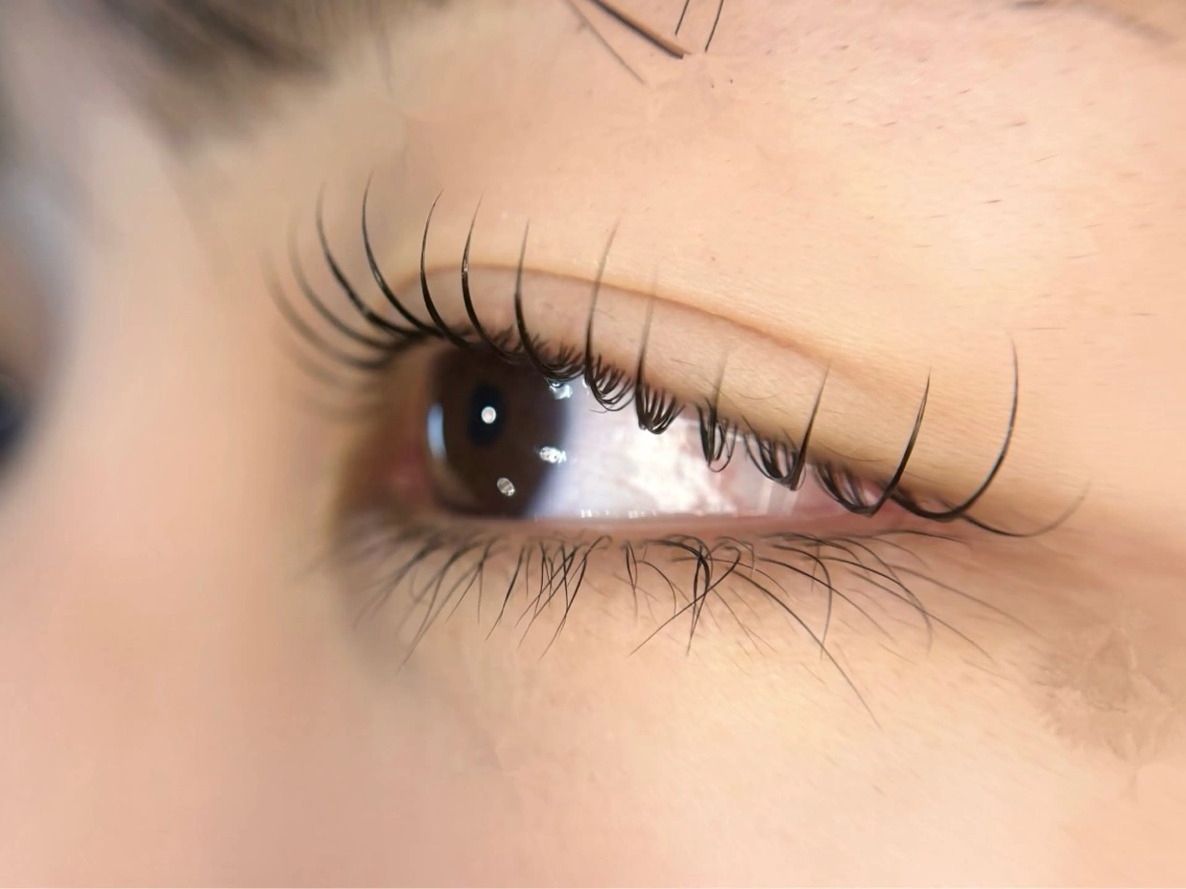 【平日限定】まつ毛パーマ⭐️の写真