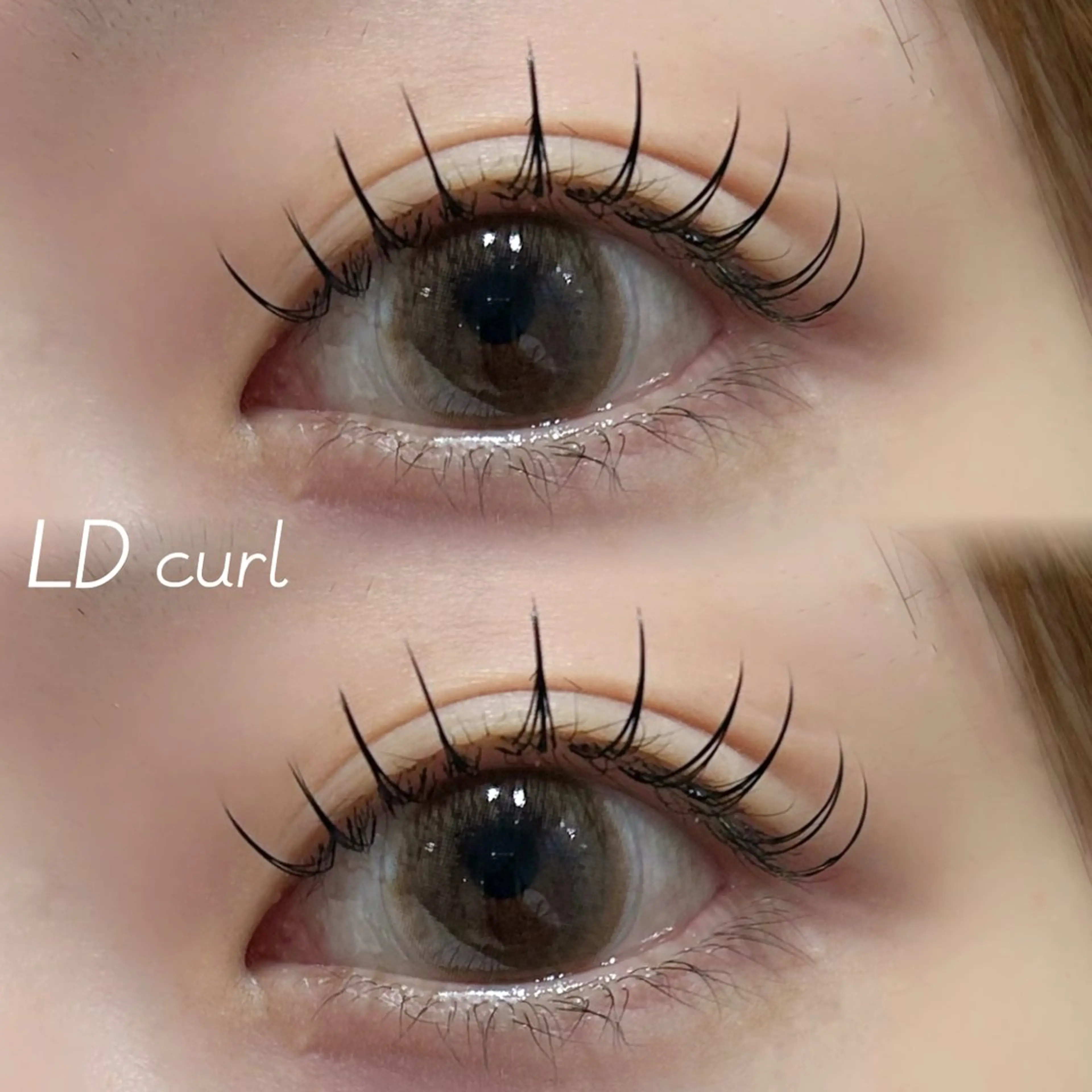 マツエク・マツパ Dカール マツエク Chaton IGARASHIのマツエク・マツパデザイン