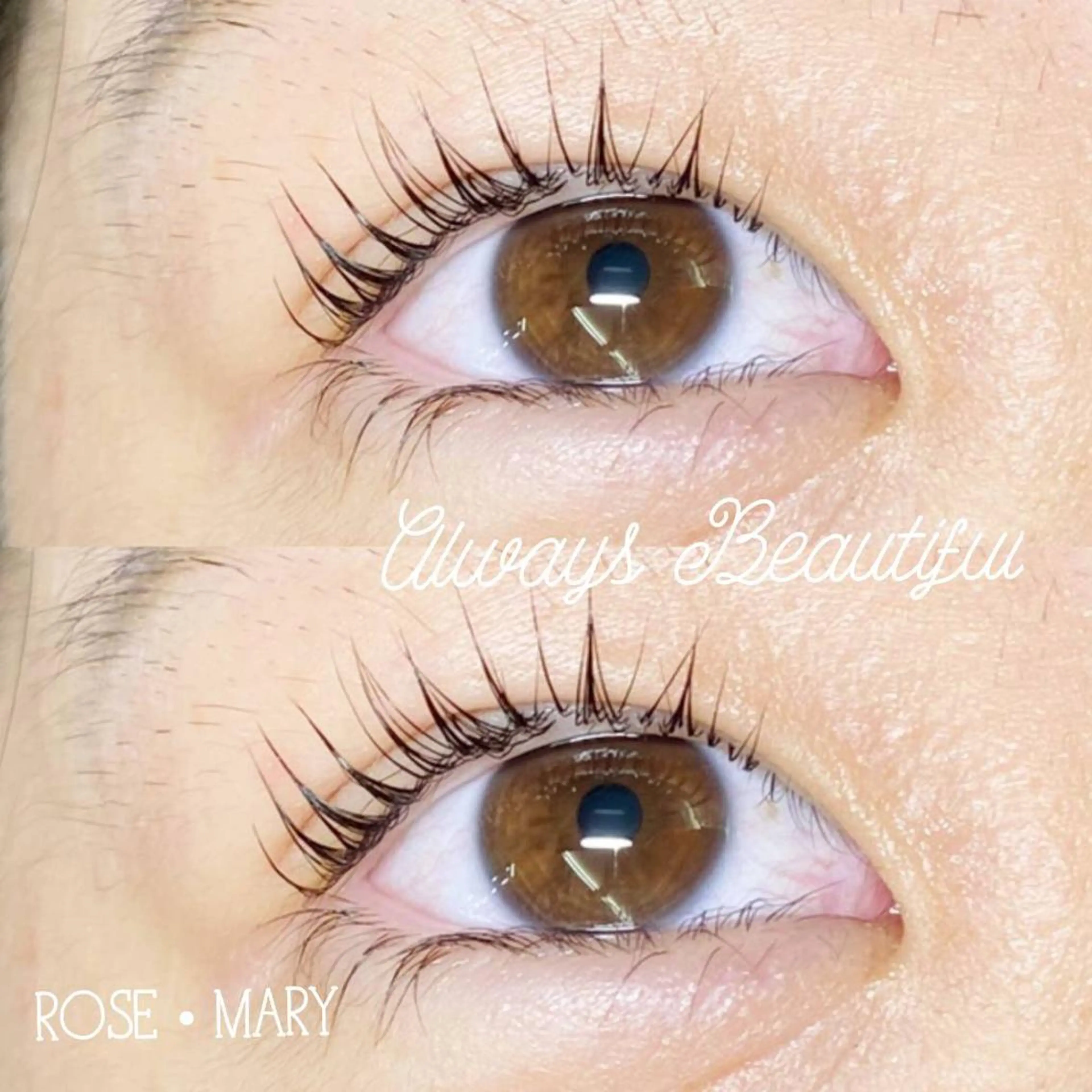 マツエク・マツパ マツパ ROSE MARY 大竹のマツエク・マツパデザイン