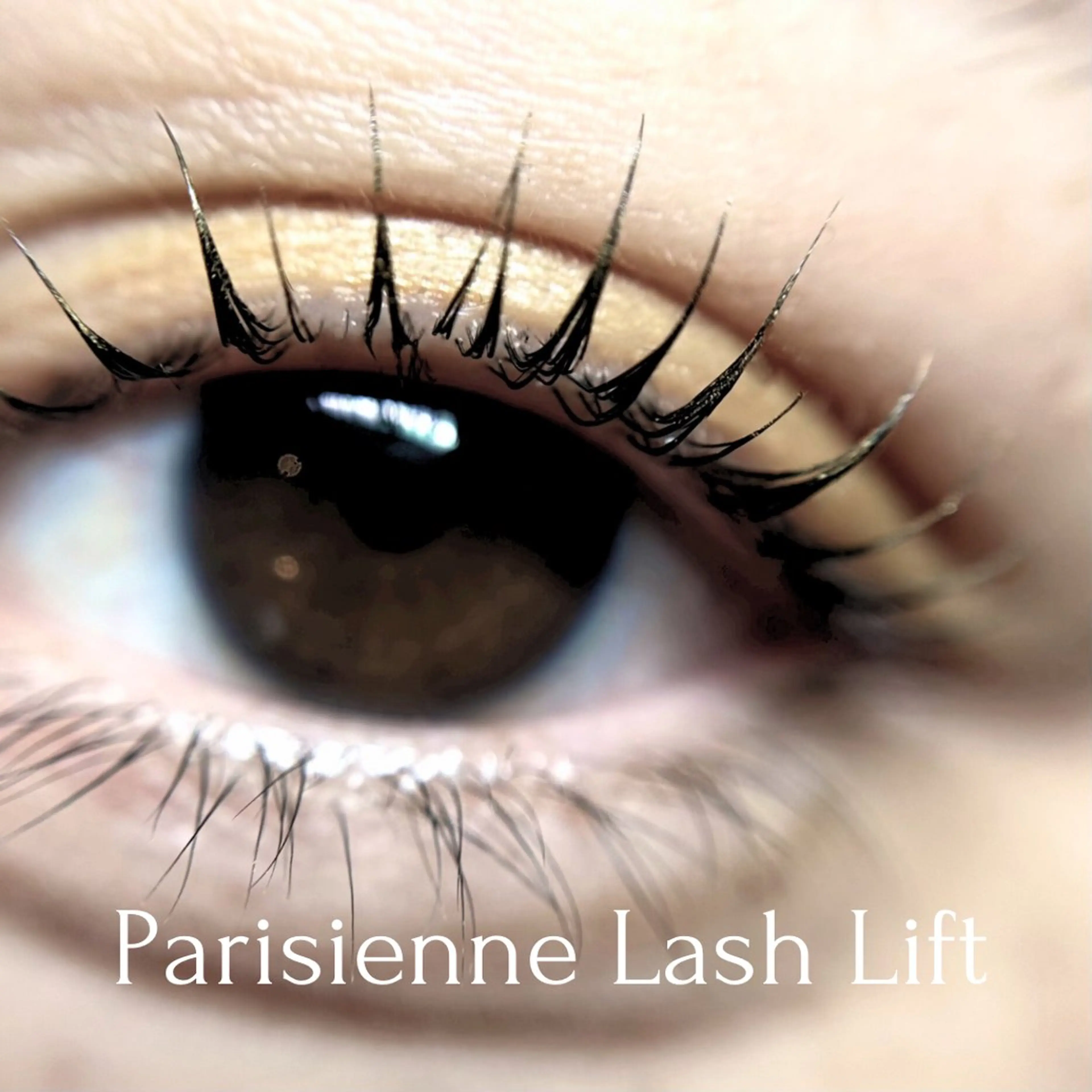 【4STEP CARE】＋PARISIENNELASH LIFT【上】#パリジェンヌの写真