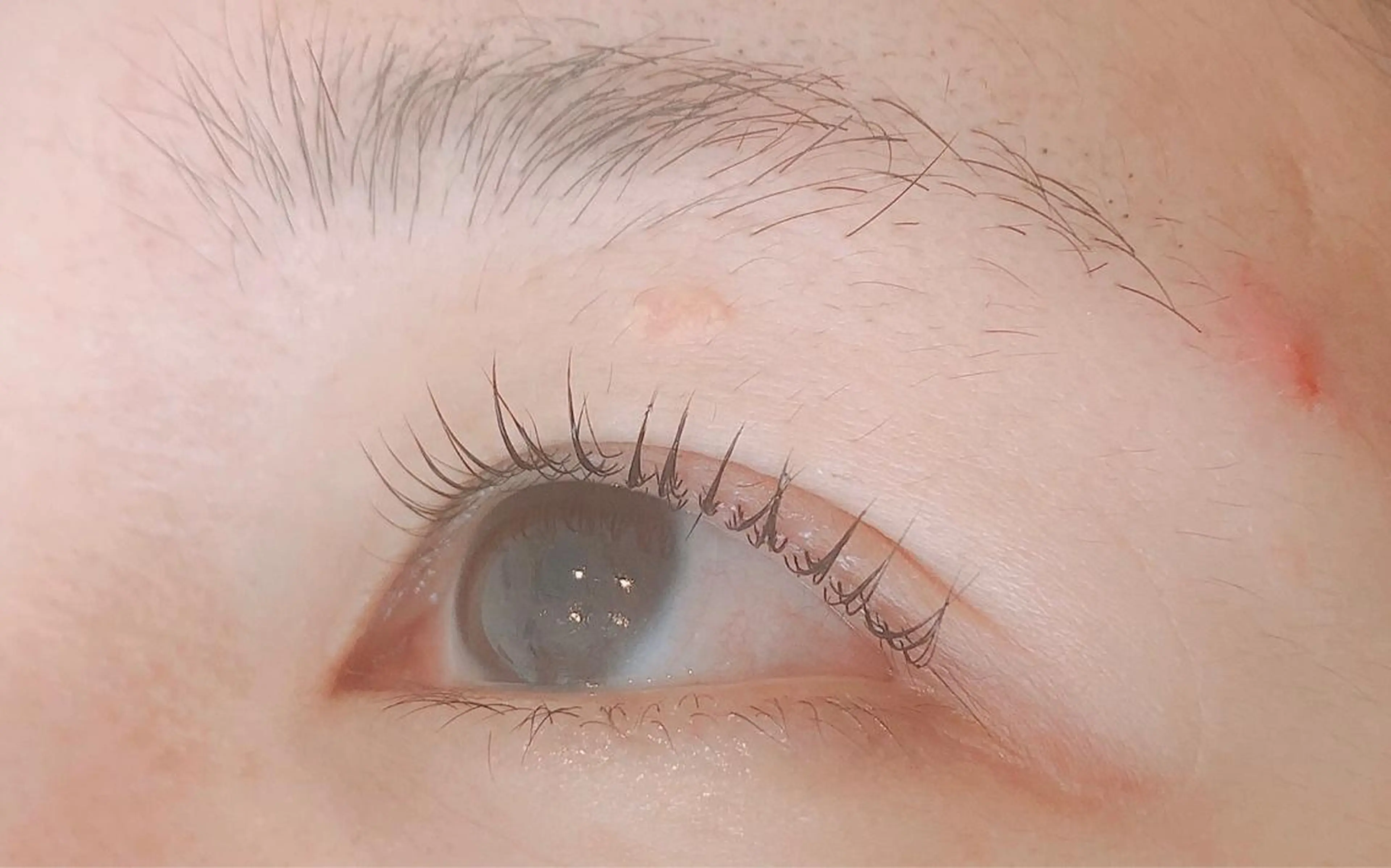 マツエク・マツパ TotalBeautysalonCURE所属・CURE 朱梨のマツエク・マツパデザイン