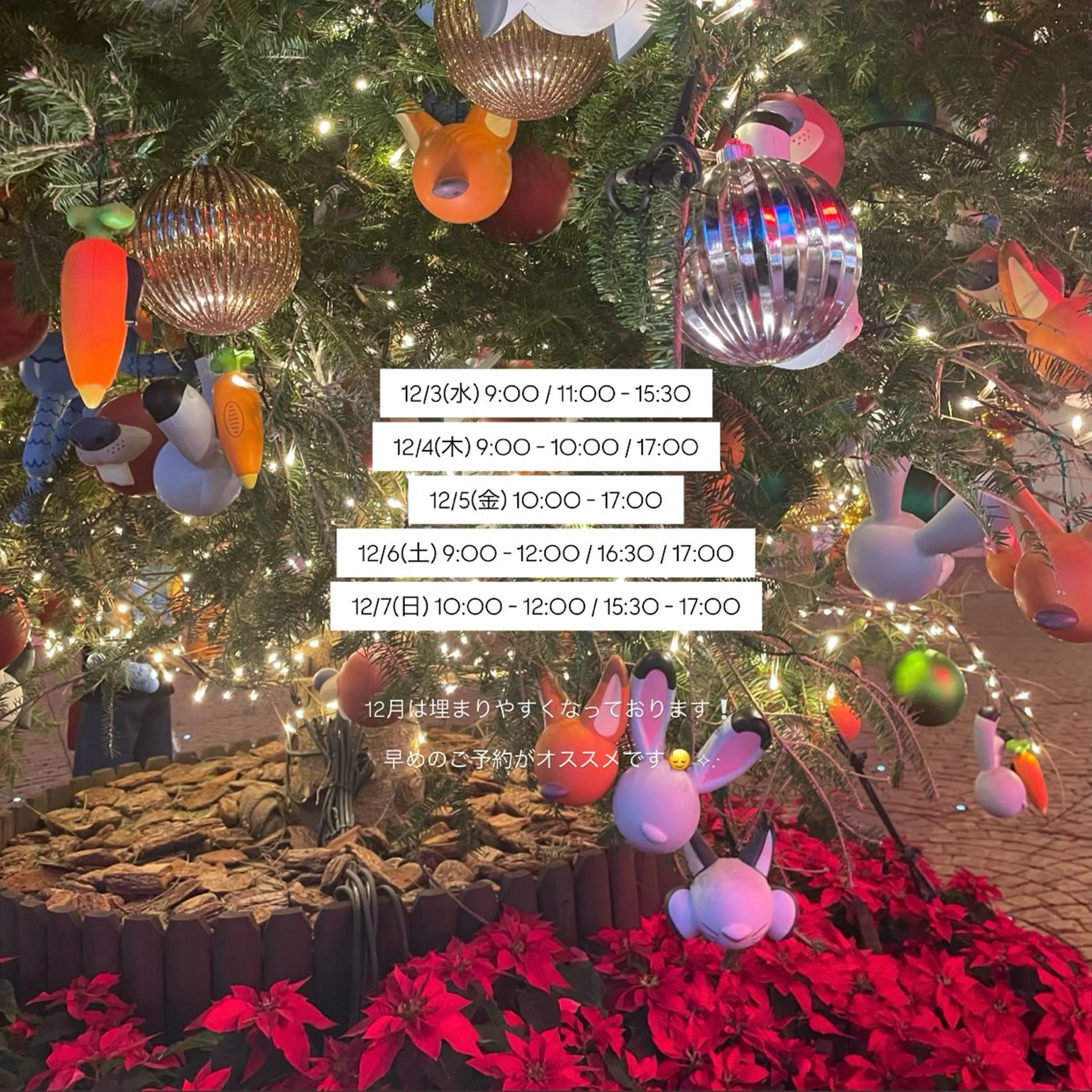 マツエク・マツパ マツパ EARTH ‎𖤐 シライシのマツエク・マツパデザイン