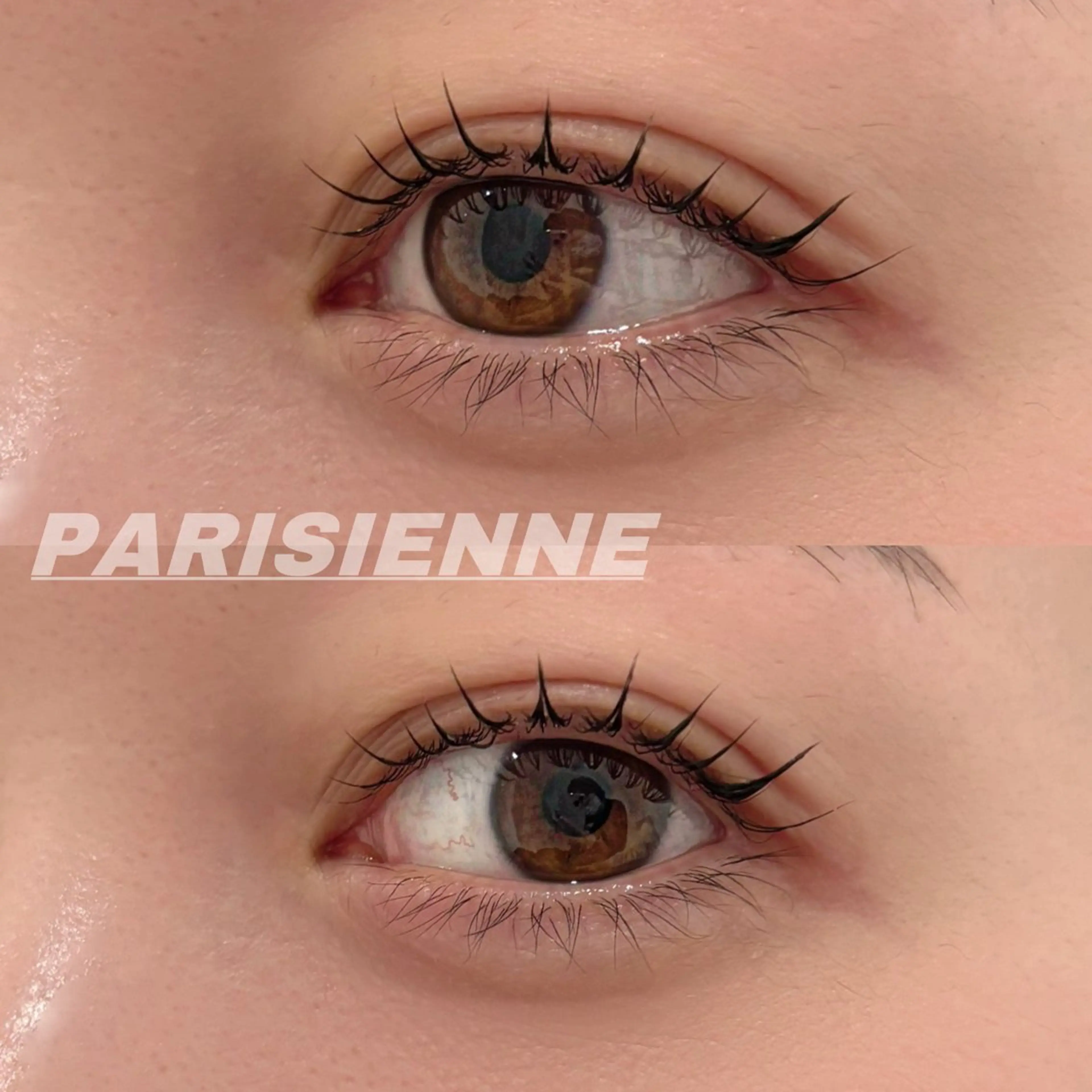 マツエク・マツパ パリジェンヌラッシュリフト Eye ELSA lash栄店 長沼の眉毛・アイブロウイメージ