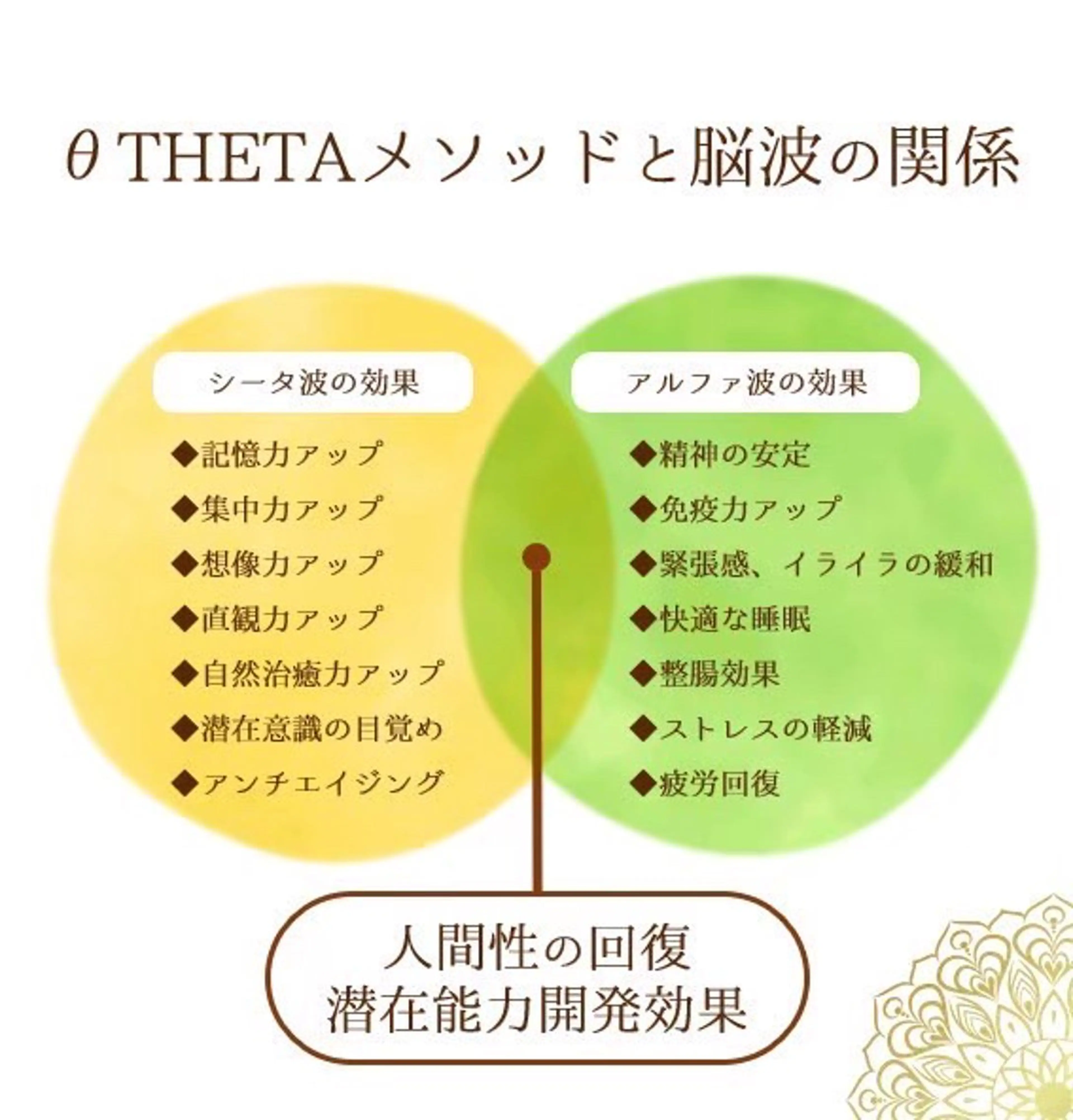 θTHETAメソッド　シエスタ所属・siesta バストアップ痩身のエステ・リラクイメージ