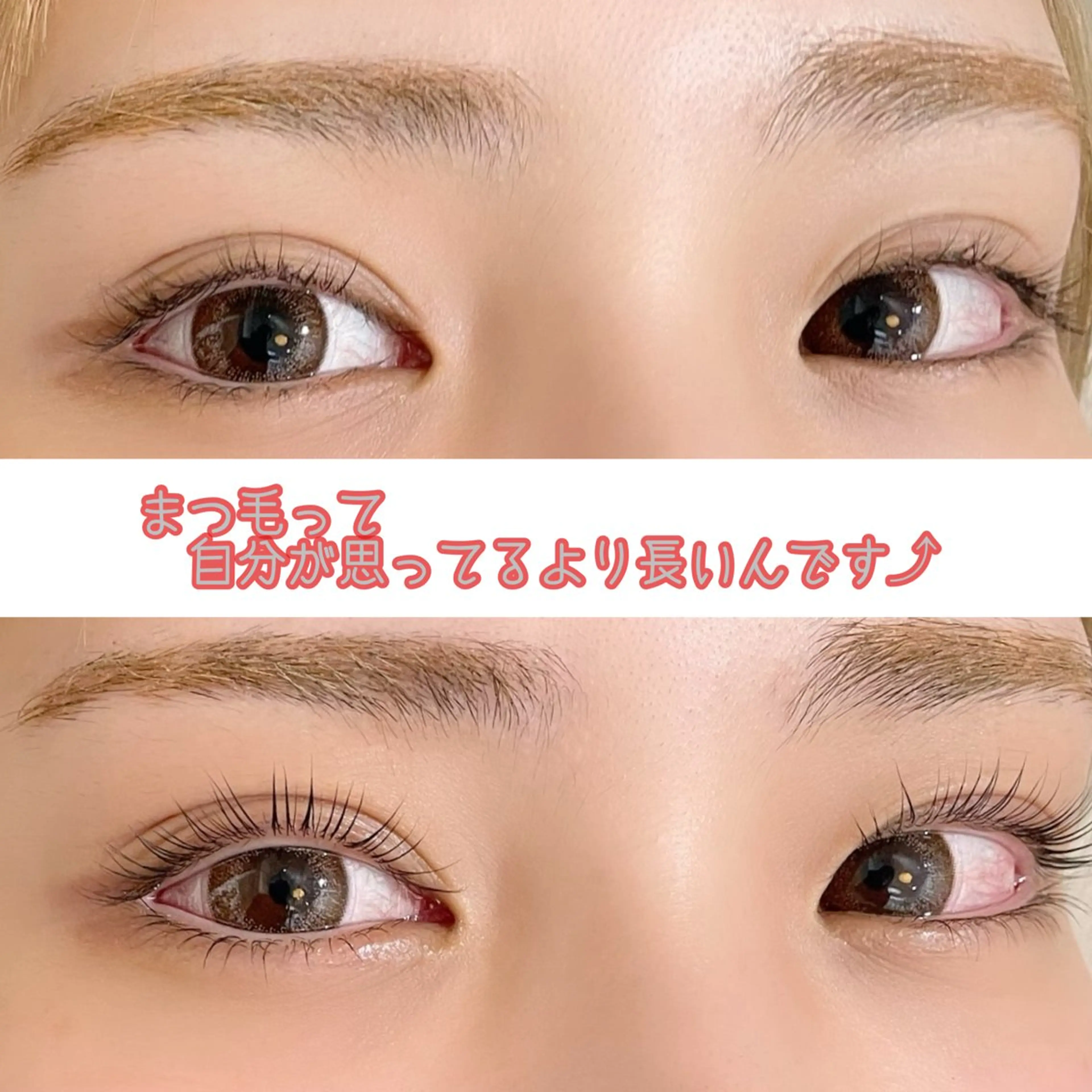 マツエク・マツパ RIM所属・RIM 🕊️ 恵比寿店のマツエク・マツパデザイン